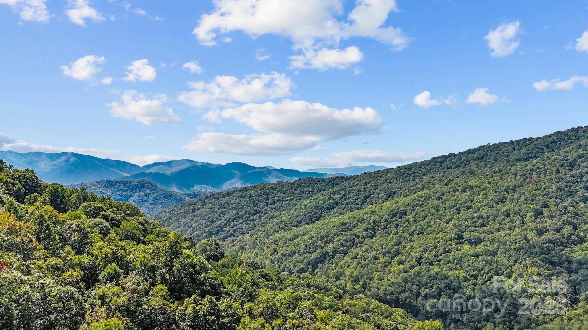 0 Brush Creek Mountain RD #41, Bryson City, NC 28713