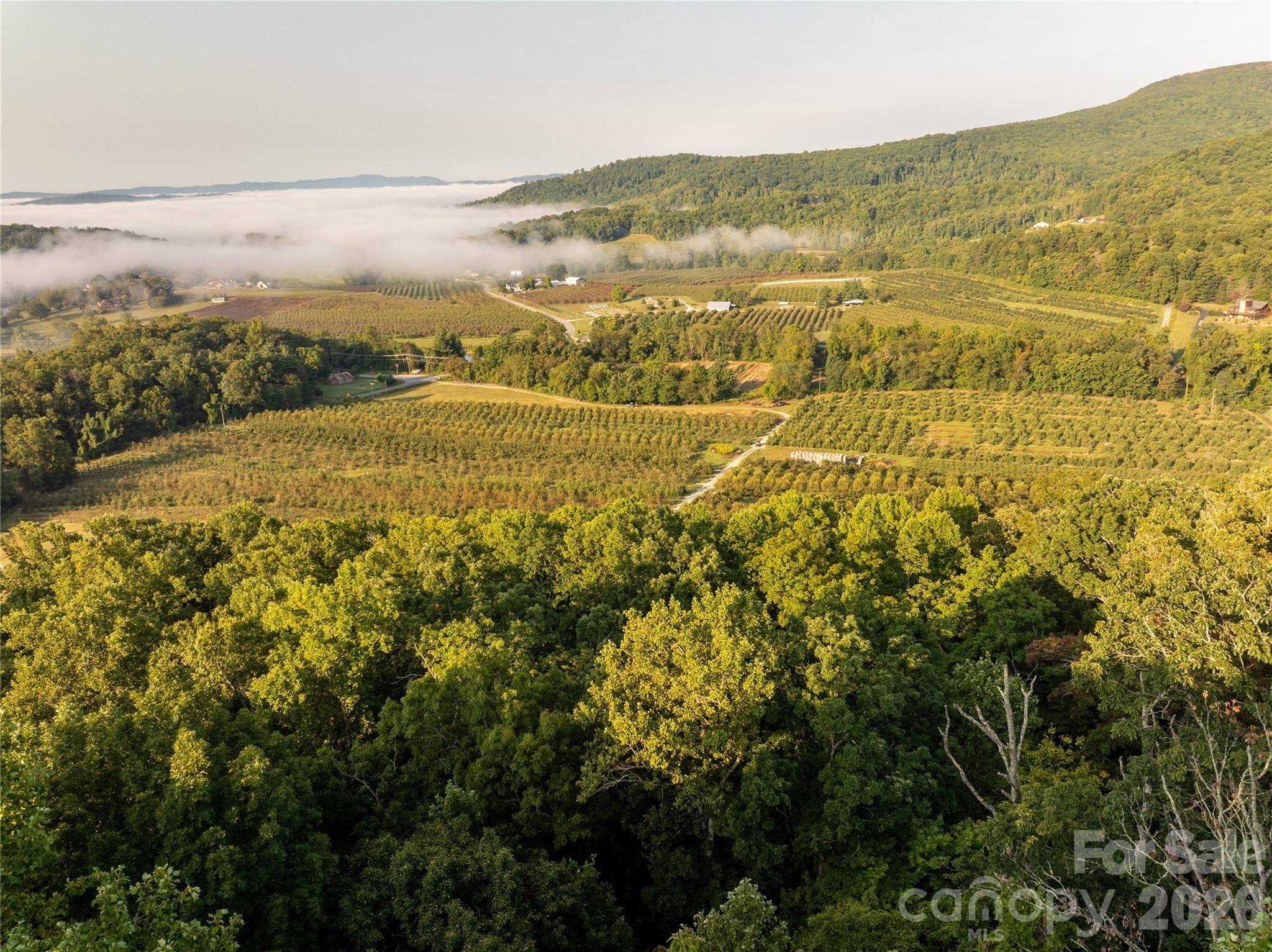 TBD Old Clear Creek RD, Hendersonville, NC 28792