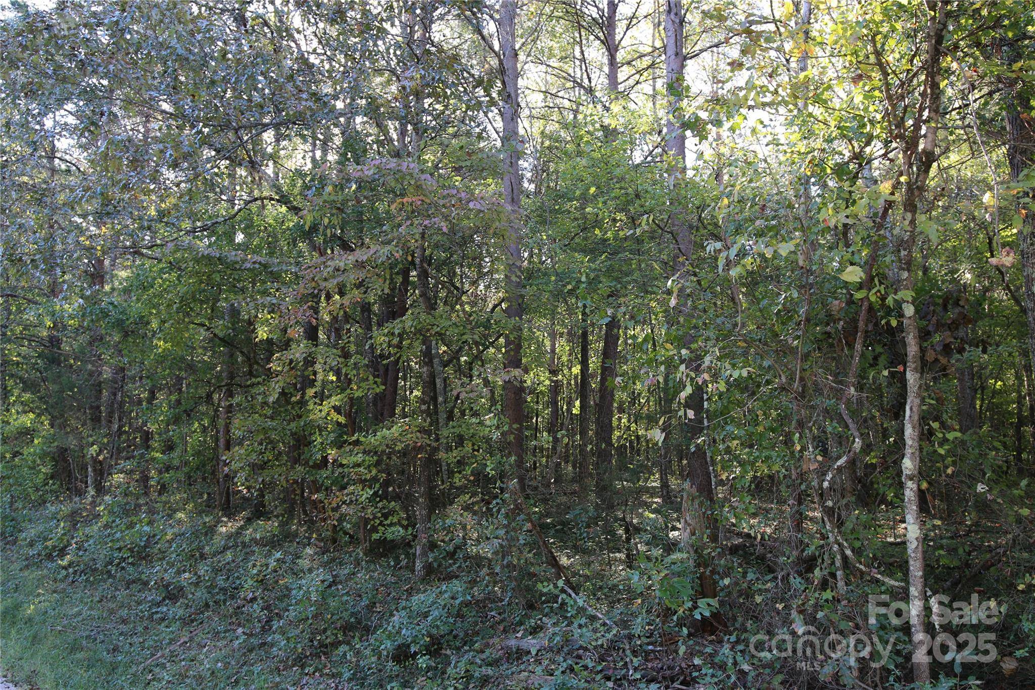0 Tobas RD, Rockwell, NC 28138