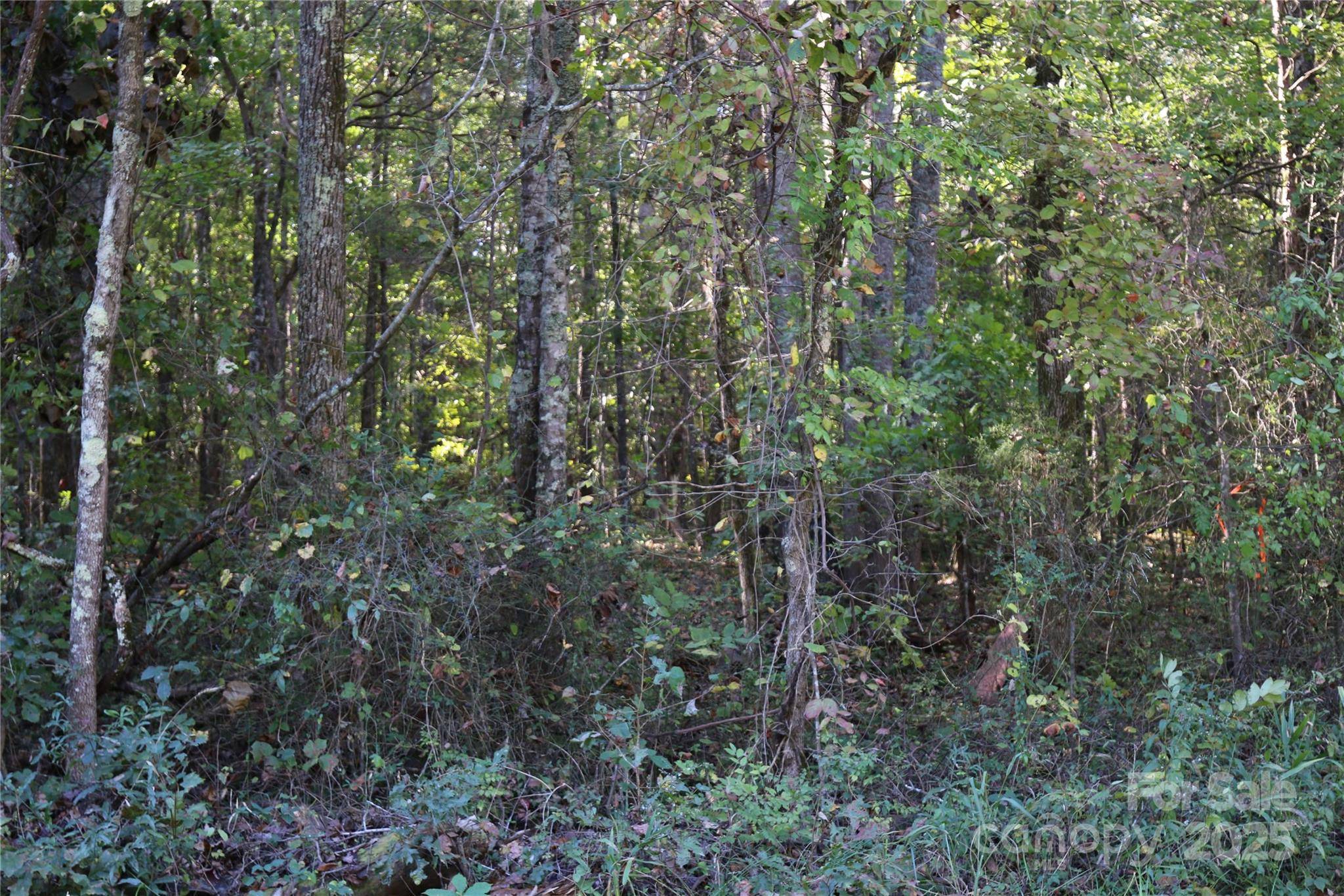 0 Tobas RD, Rockwell, NC 28138