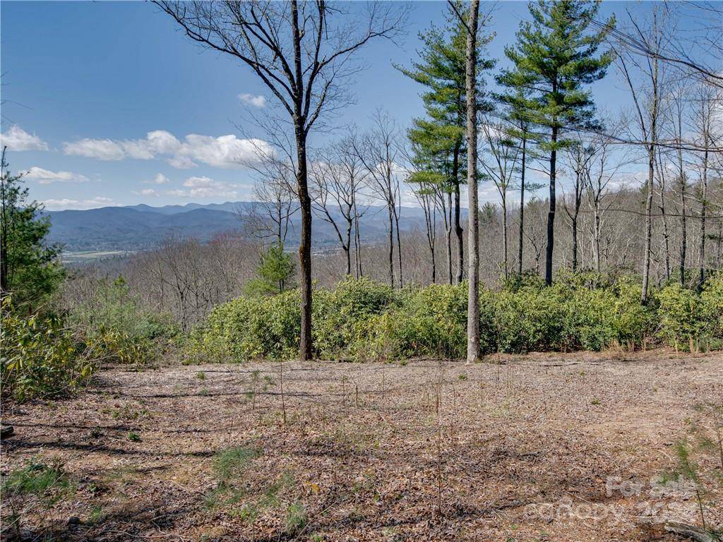 8B Reserve RD, Pisgah Forest, NC 28768