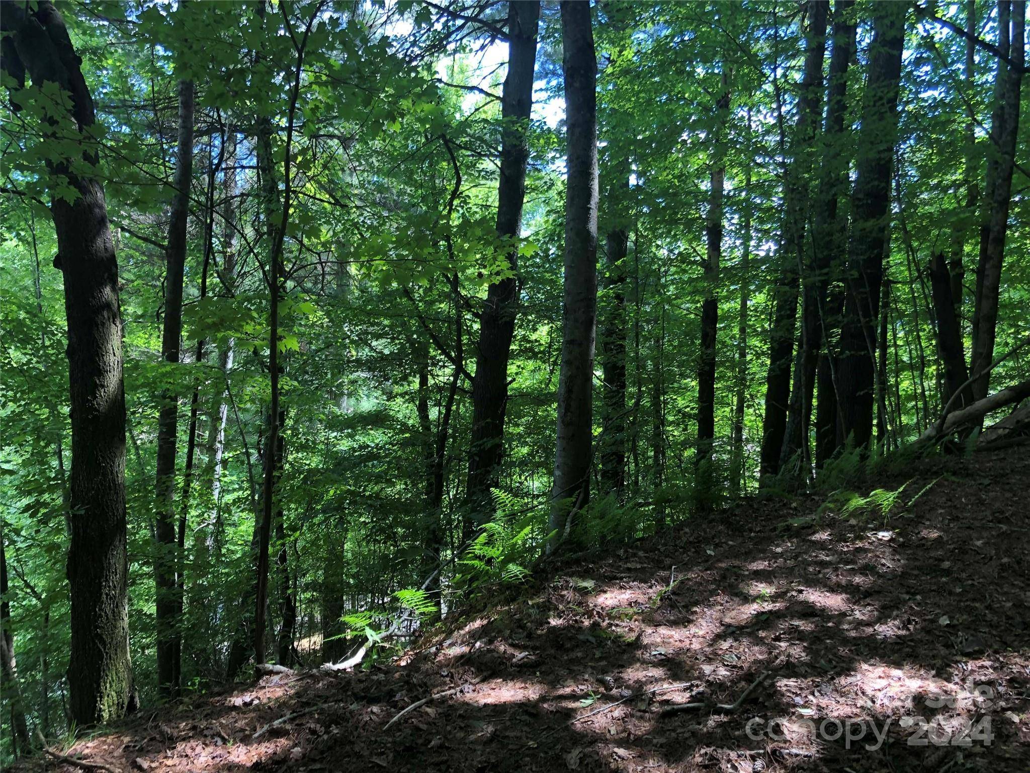 000 N Blue Ridge Pkwy E #167, Jefferson, NC 28640