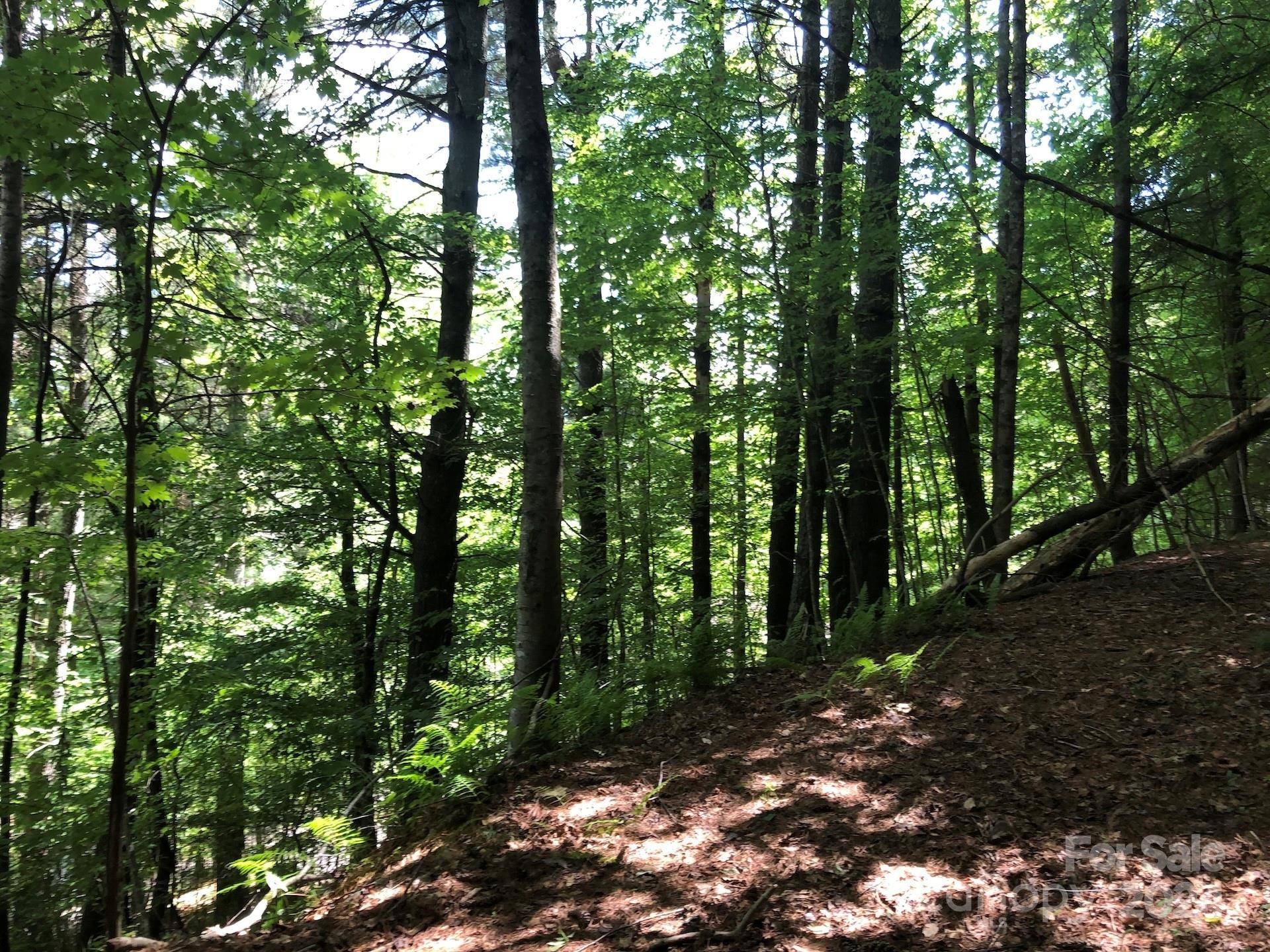 000 N Blue Ridge Pkwy E #167, Jefferson, NC 28640