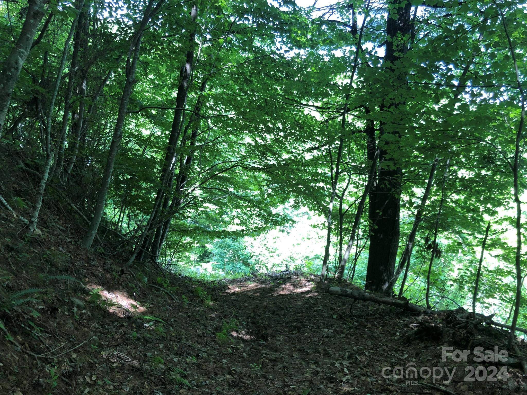 000 N Blue Ridge Pkwy E #167, Jefferson, NC 28640