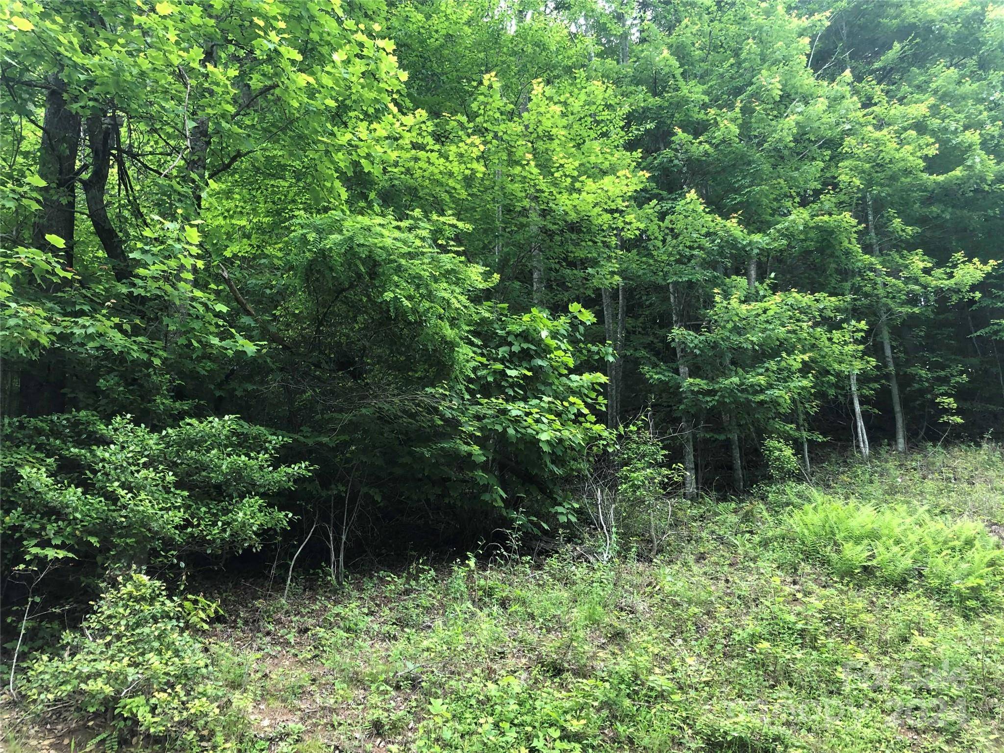 000 N Blue Ridge Pkwy E #167, Jefferson, NC 28640