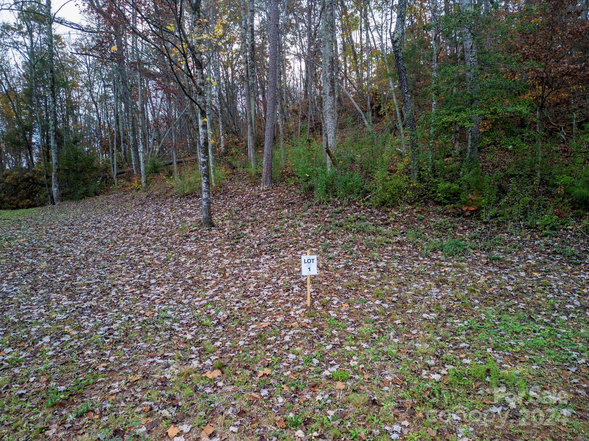 Address not disclosed, Old Fort, NC 28762