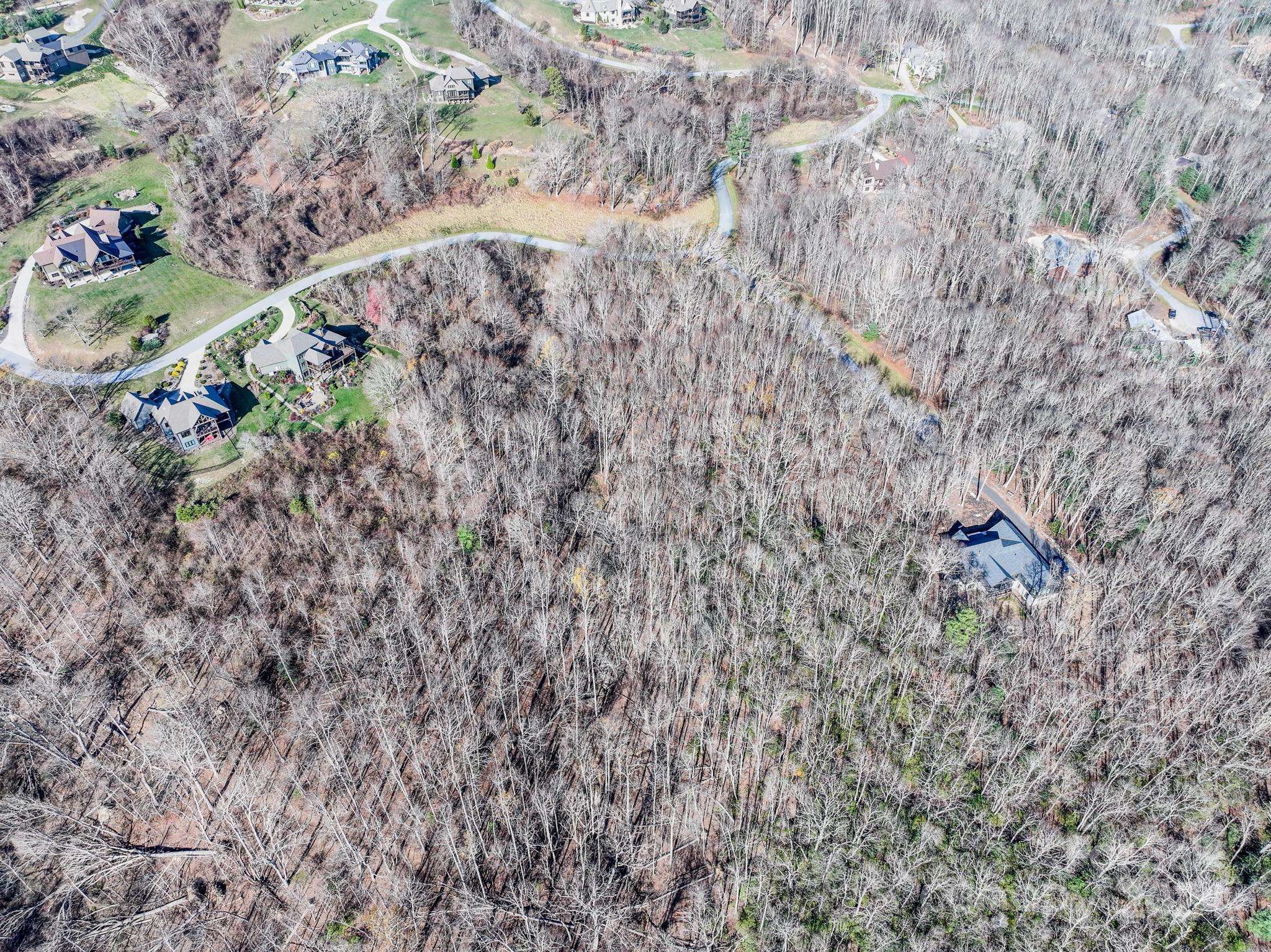 99999 Dancing Bear DR #53, Hendersonville, NC 28792