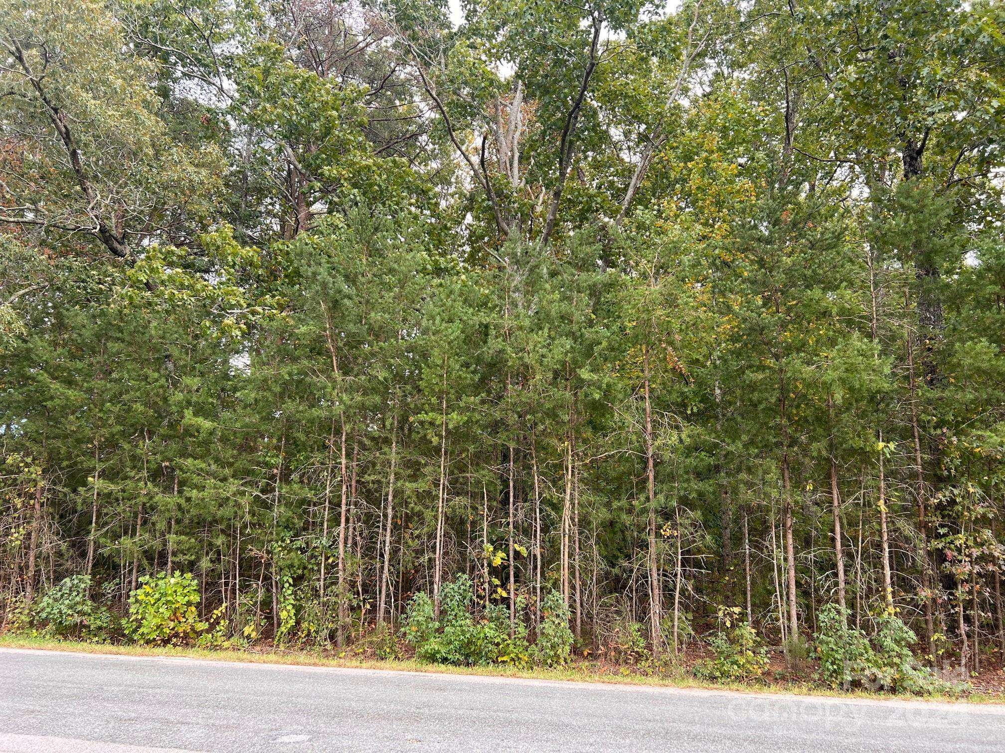 0 Cornelius RD, Rockwell, NC 28138