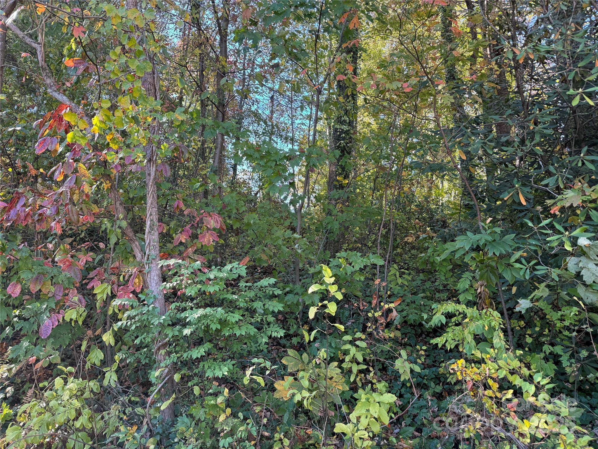 00 Upper Ridgewood BLVD, Hendersonville, NC 28739