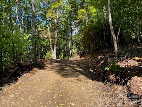 Lot G42 Odalu TRL #G42, Maggie Valley, NC 28751