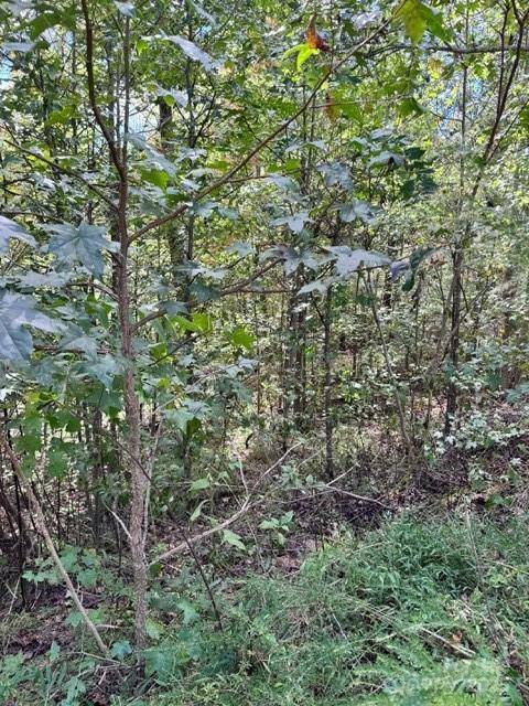 V/L Ridge Point RD #9, Nebo, NC 28761