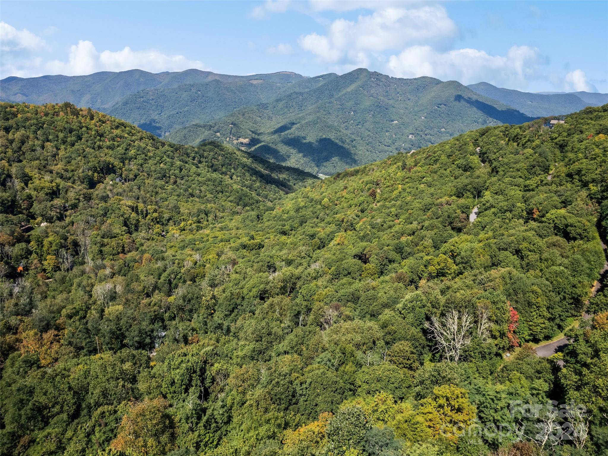Lot G-43 Odalu TRL #G43, Maggie Valley, NC 28751