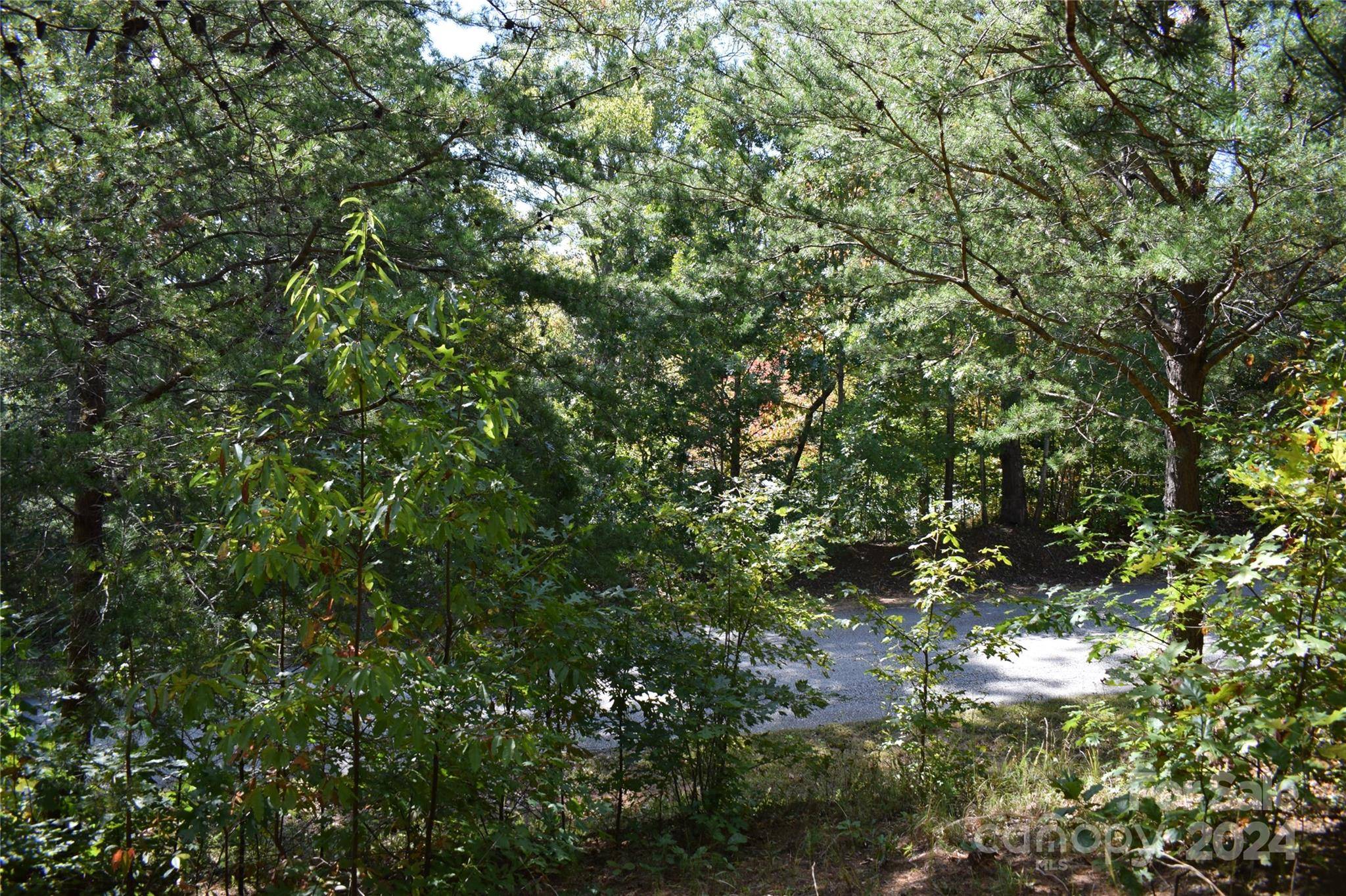 0 Holland DR #3, Columbus, NC 28722