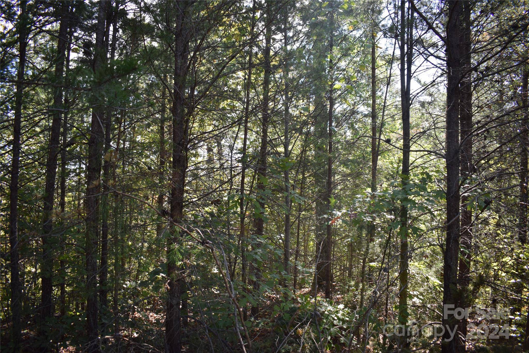 0 Holland DR #3, Columbus, NC 28722