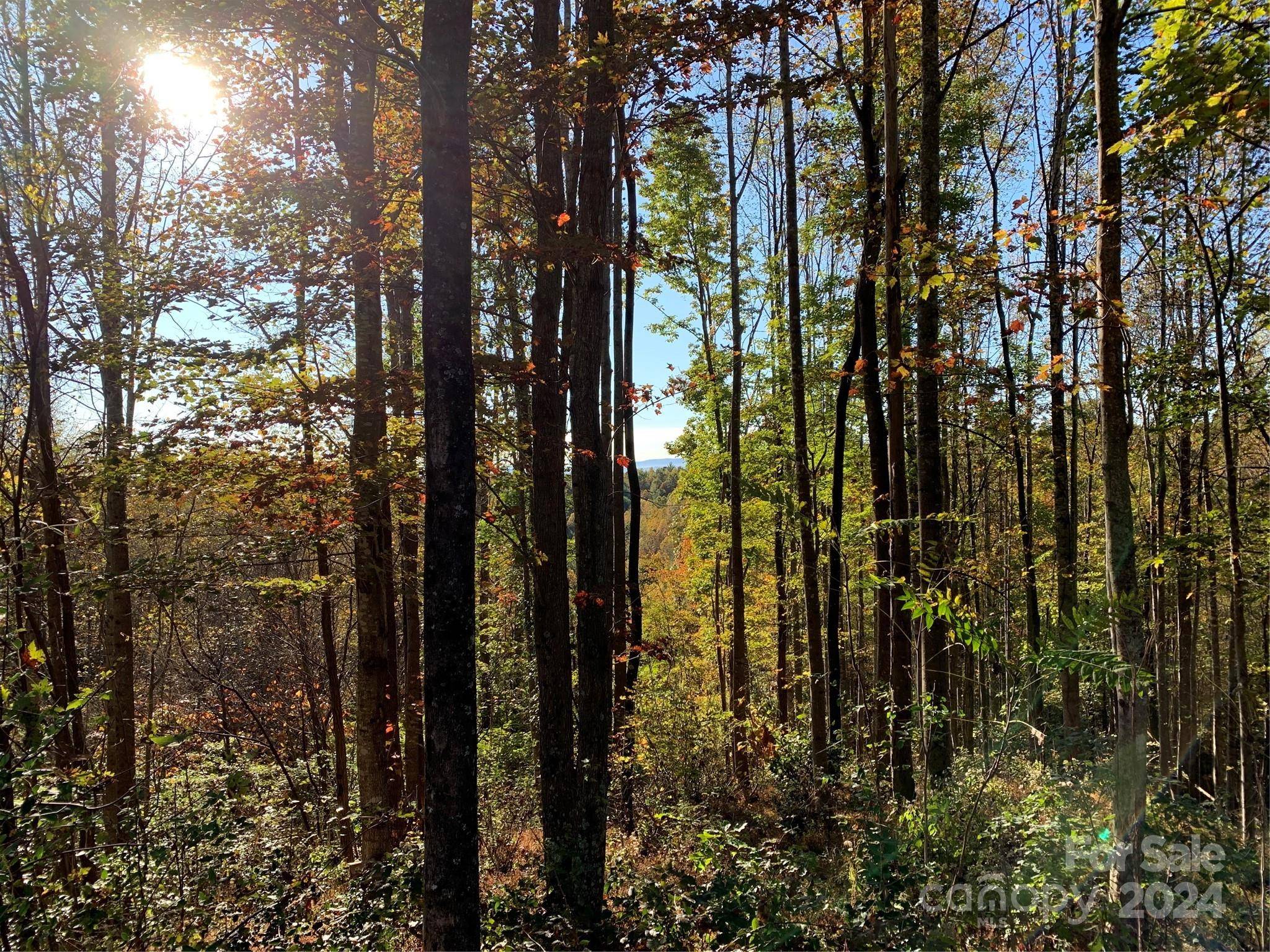 1483 Round Mountain Pkwy #59, Lenoir, NC 28645
