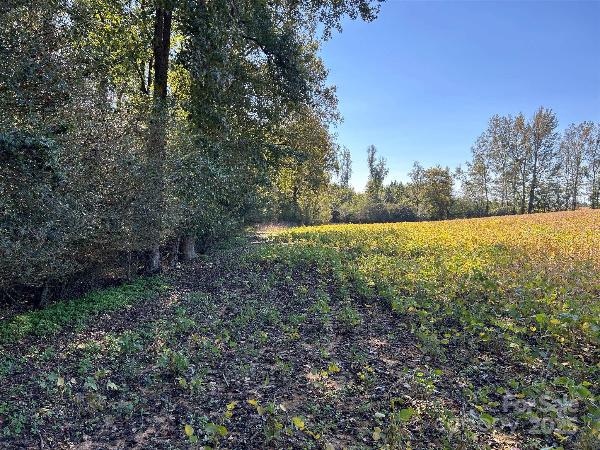 03 Ramsey RD, Albemarle, NC 28001