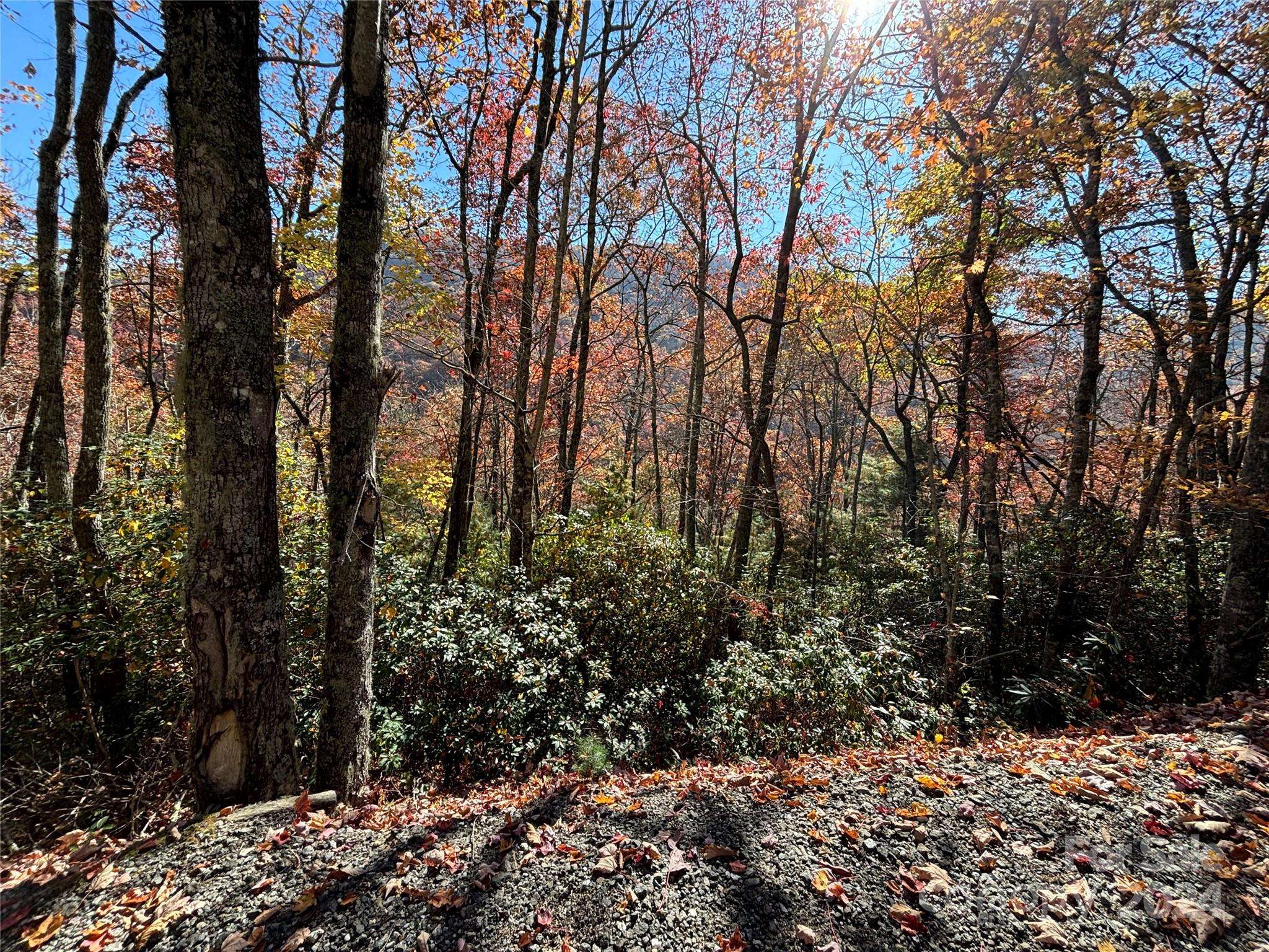 Lot 33 Coppermine RDG #33, Whittier, NC 28789