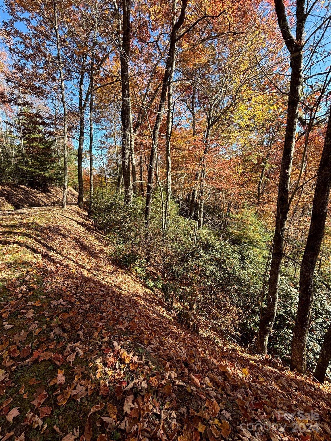 Lot 33 Coppermine RDG #33, Whittier, NC 28789