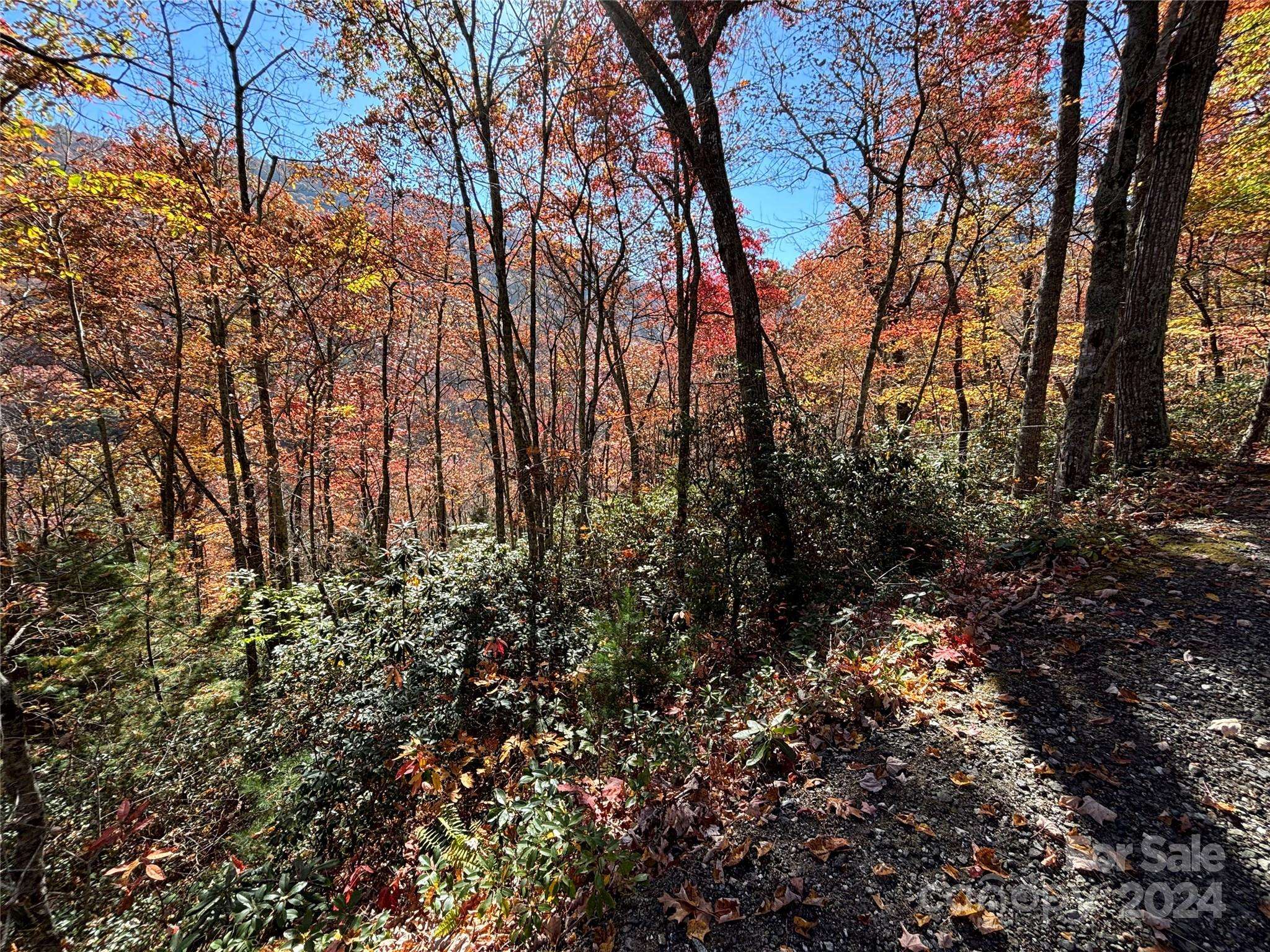 Lot 33 Coppermine RDG #33, Whittier, NC 28789