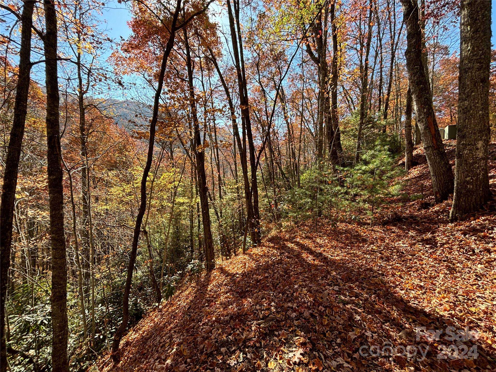 Lot 33 Coppermine RDG #33, Whittier, NC 28789