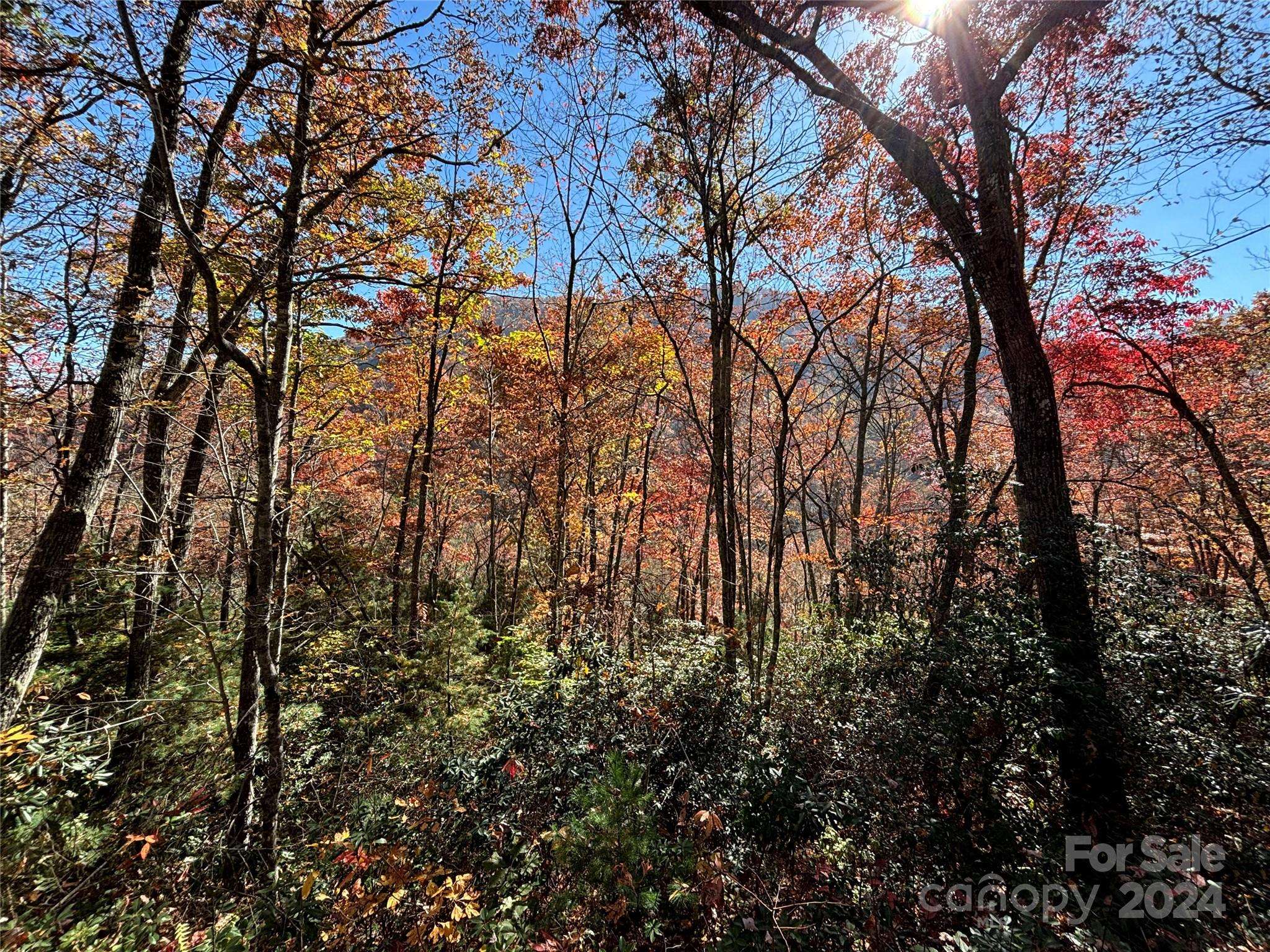 Lot 33 Coppermine RDG #33, Whittier, NC 28789