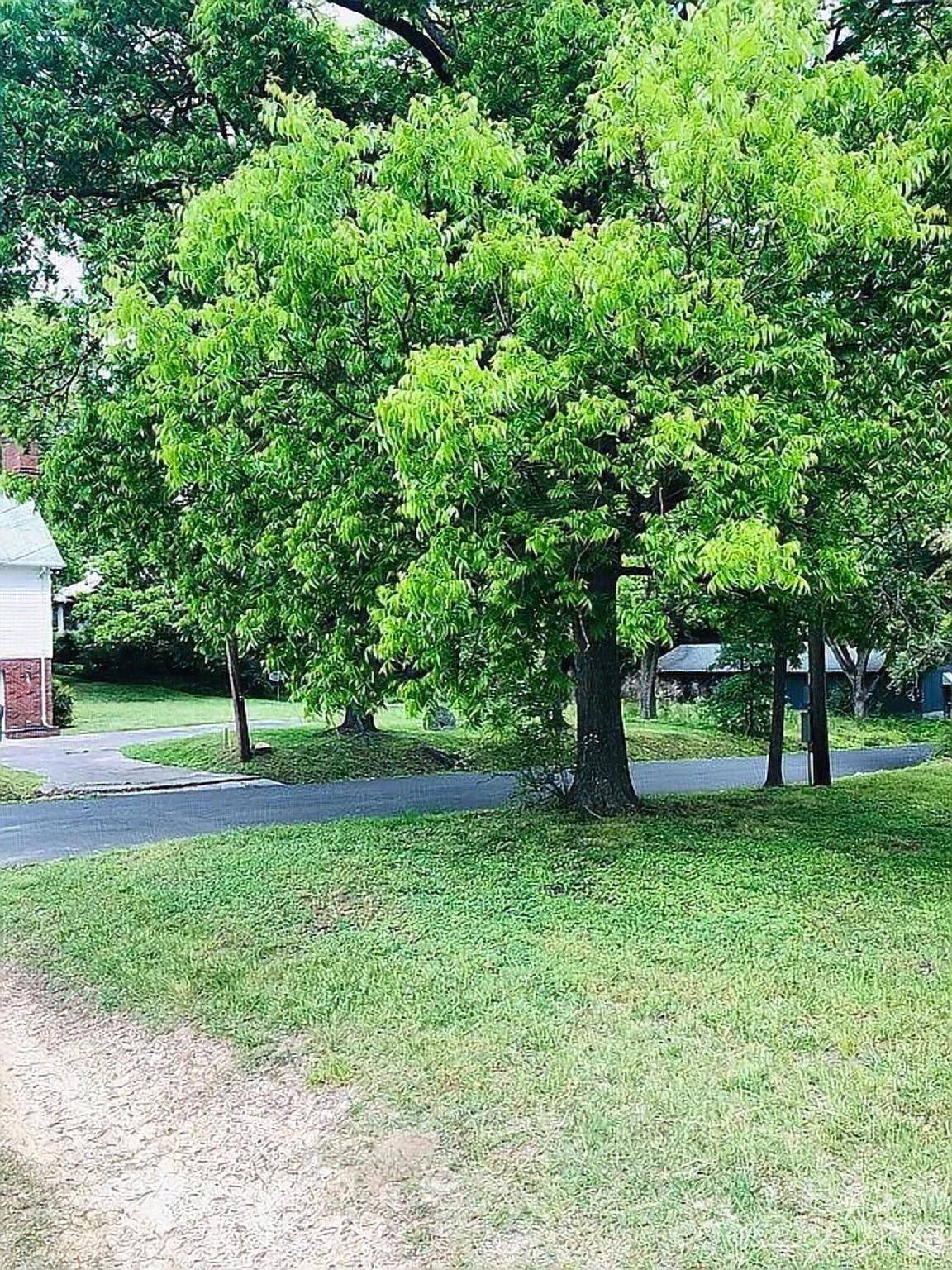 115 S Pearl ST, Troy, NC 27371
