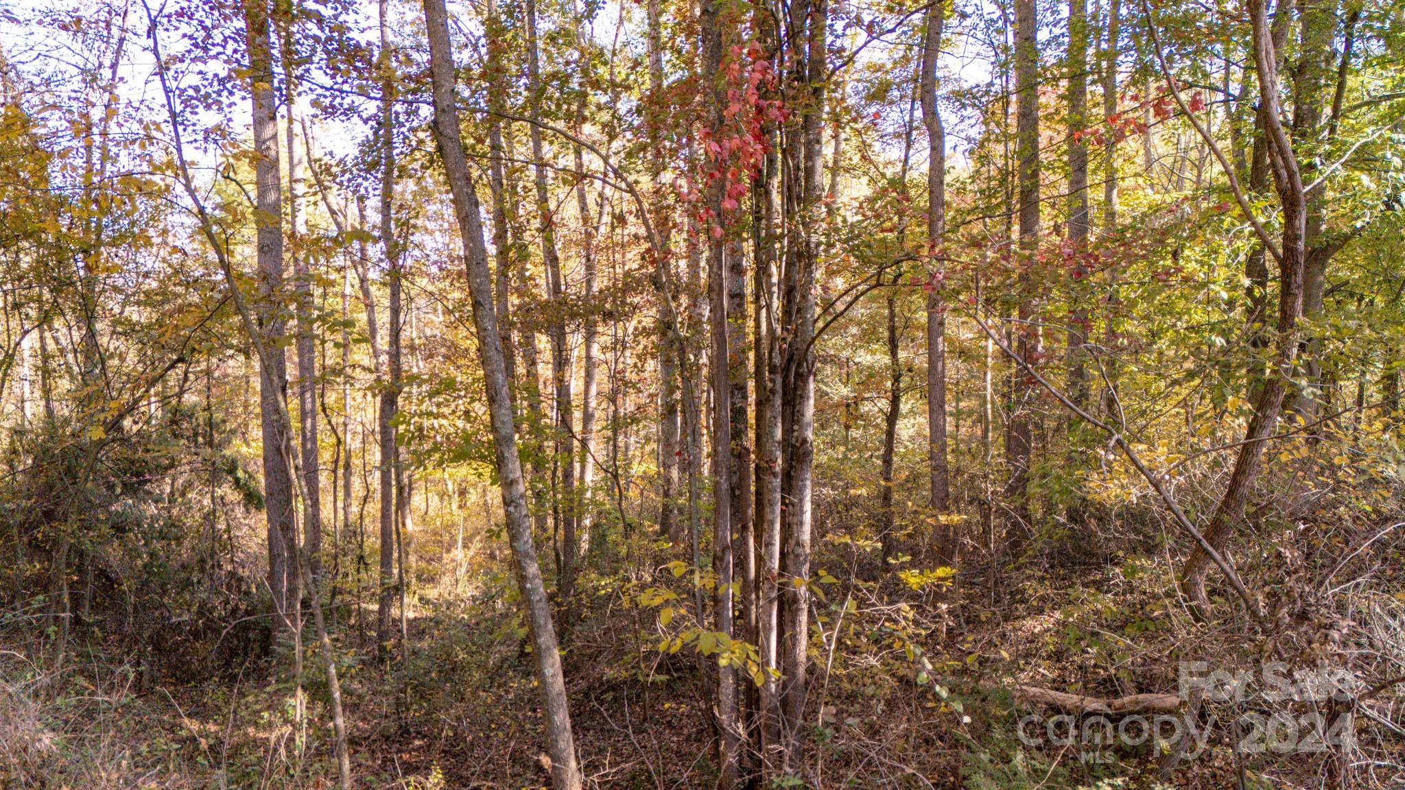 00 N Pinnacle DR #3, Weaverville, NC 28787
