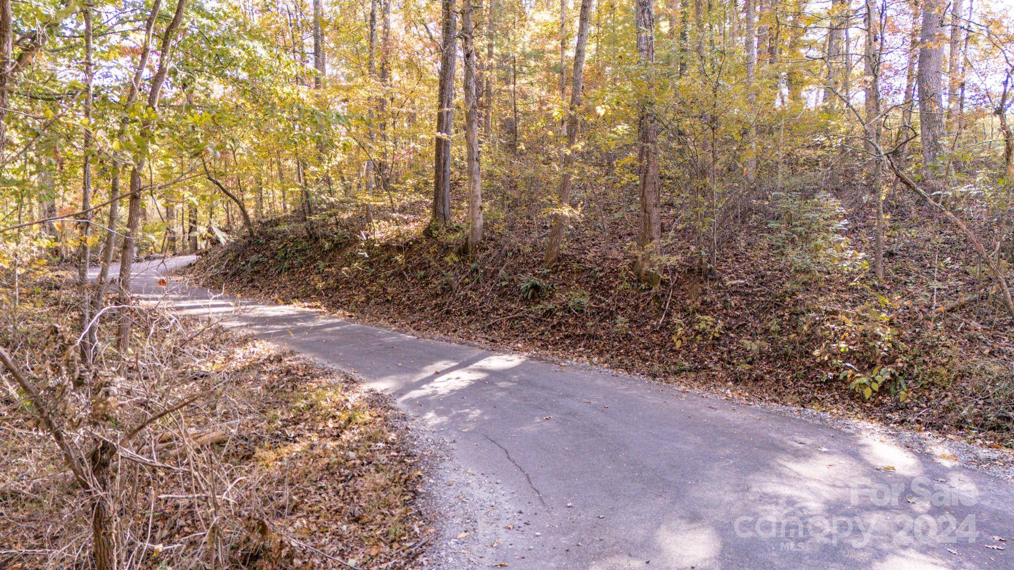00 N Pinnacle DR #3, Weaverville, NC 28787