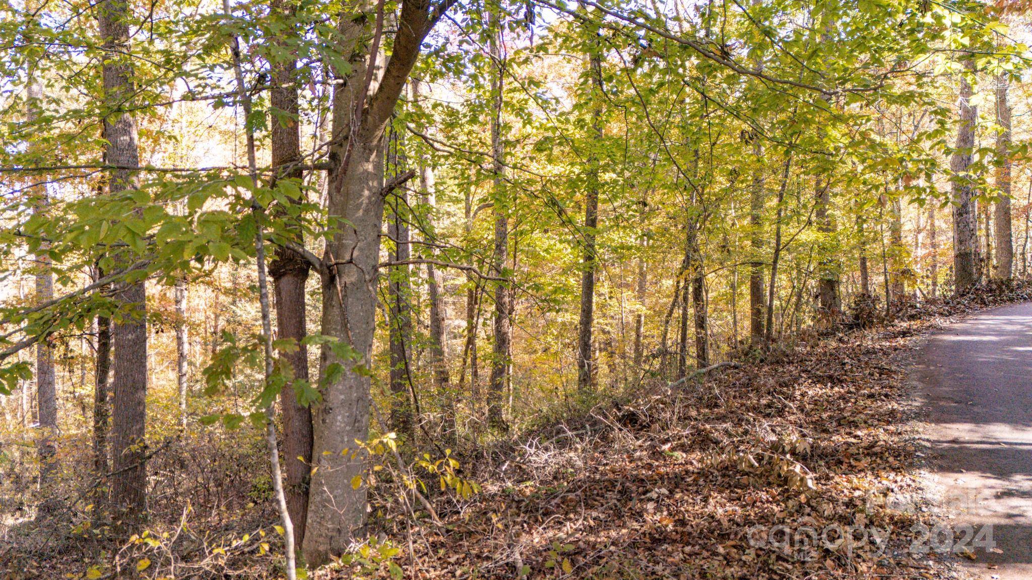 00 N Pinnacle DR #3, Weaverville, NC 28787