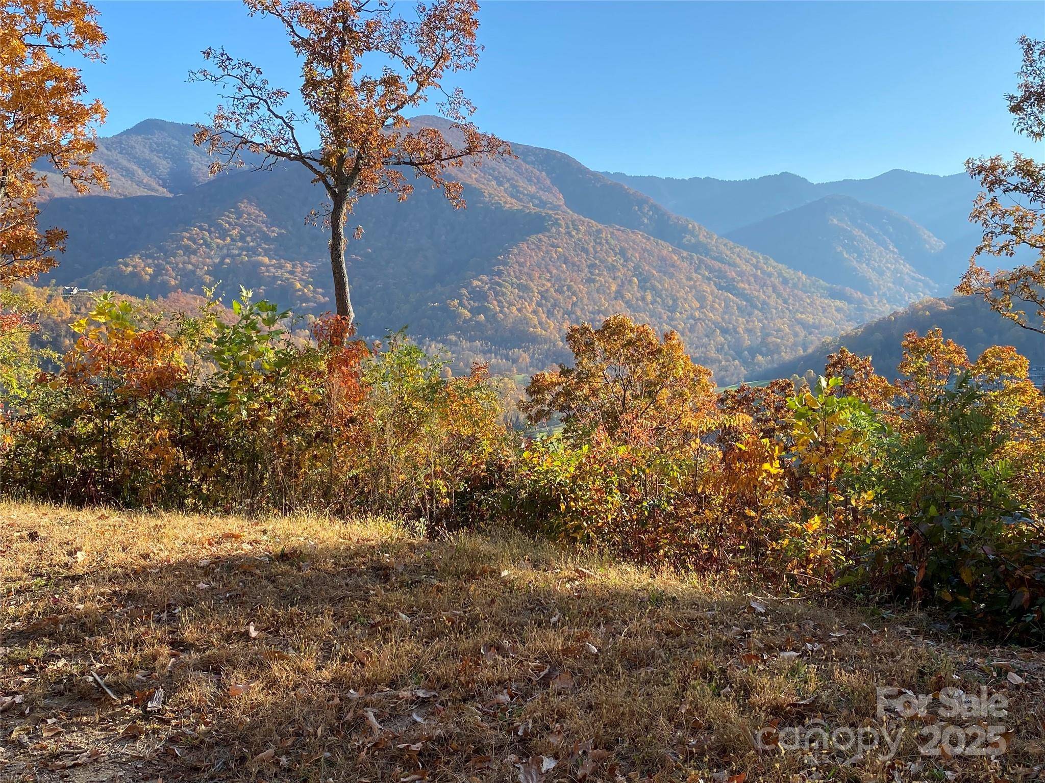 40 Cougar LN #13,14,15,16, Maggie Valley, NC 28751