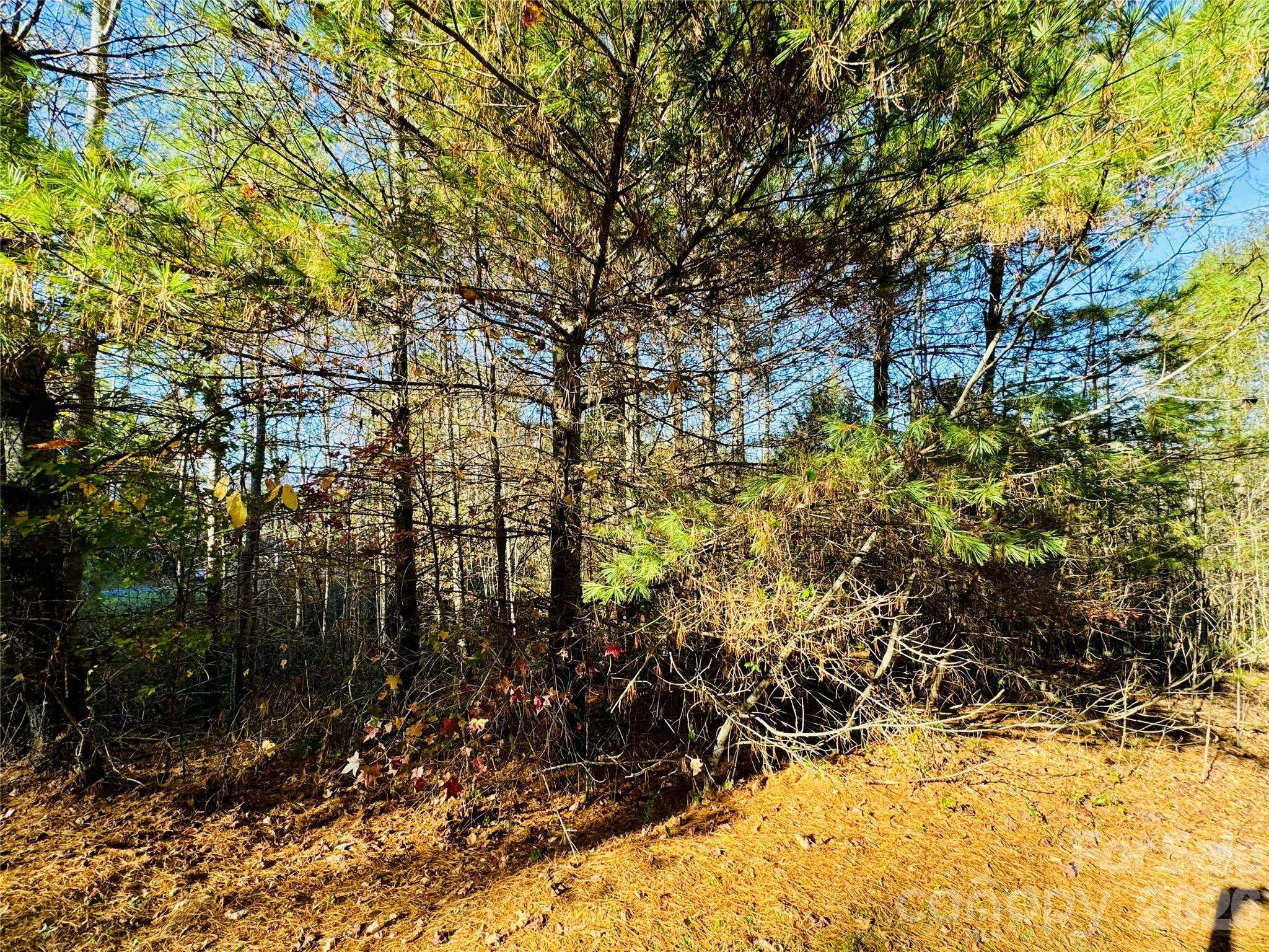 6.09 acres, Lot 136/137 Johns Ridge Pkwy #136/137, Lenoir, NC 28645
