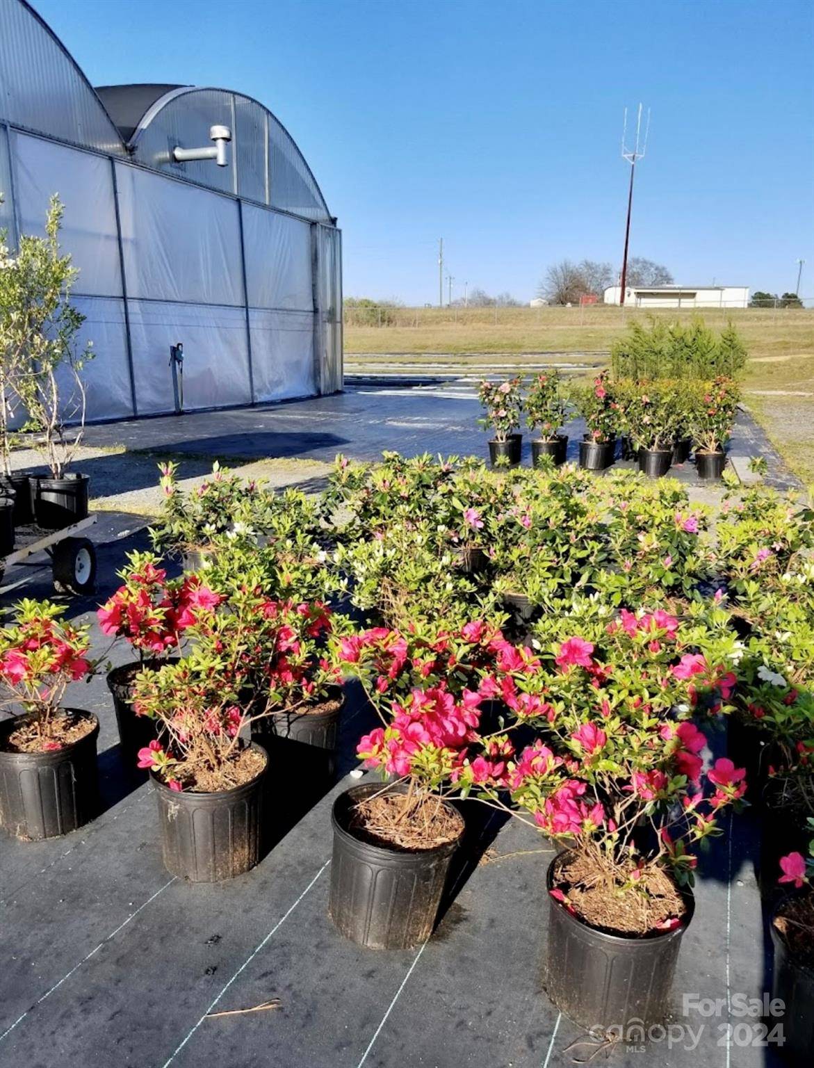 32544 Hwy 9 HWY, Pageland, SC 29728
