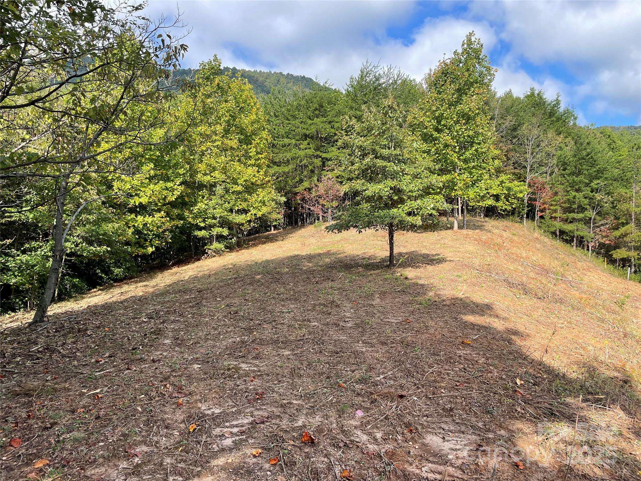 00 Birkdale DR #159, Mill Spring, NC 28756