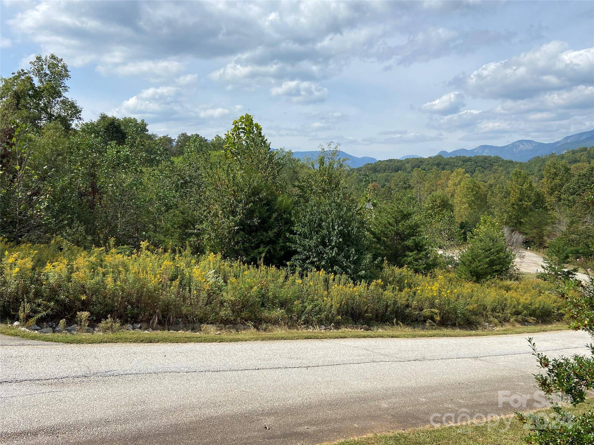 0 Willow Top LN #311, Lake Lure, NC 28746