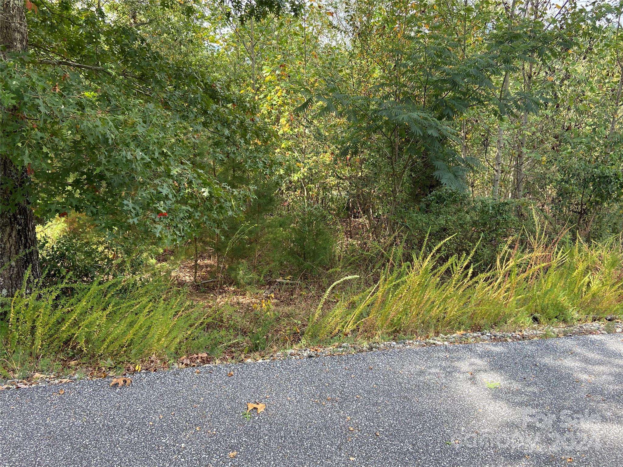 0 Willow Top LN #311, Lake Lure, NC 28746