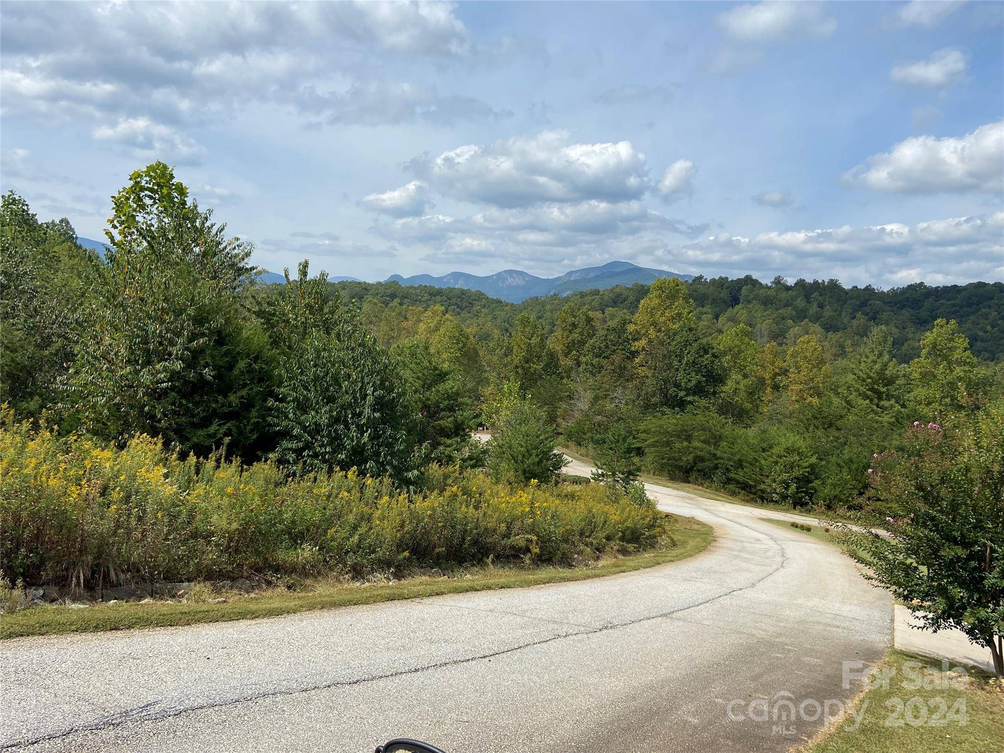 0 Willow Top LN #311, Lake Lure, NC 28746