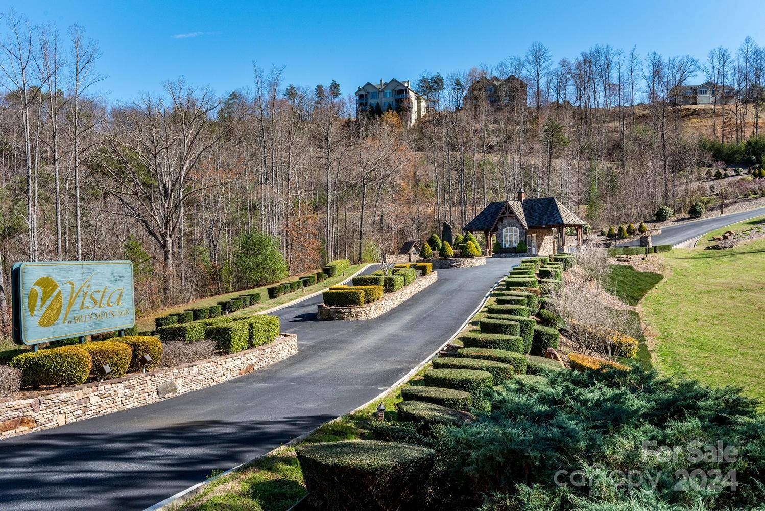 0 Willow Top LN #311, Lake Lure, NC 28746