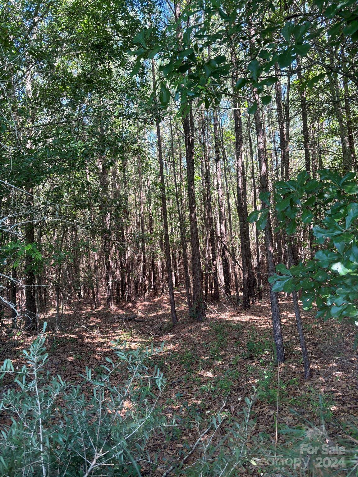 00 Columbus RD #7, Rembert, SC 29128