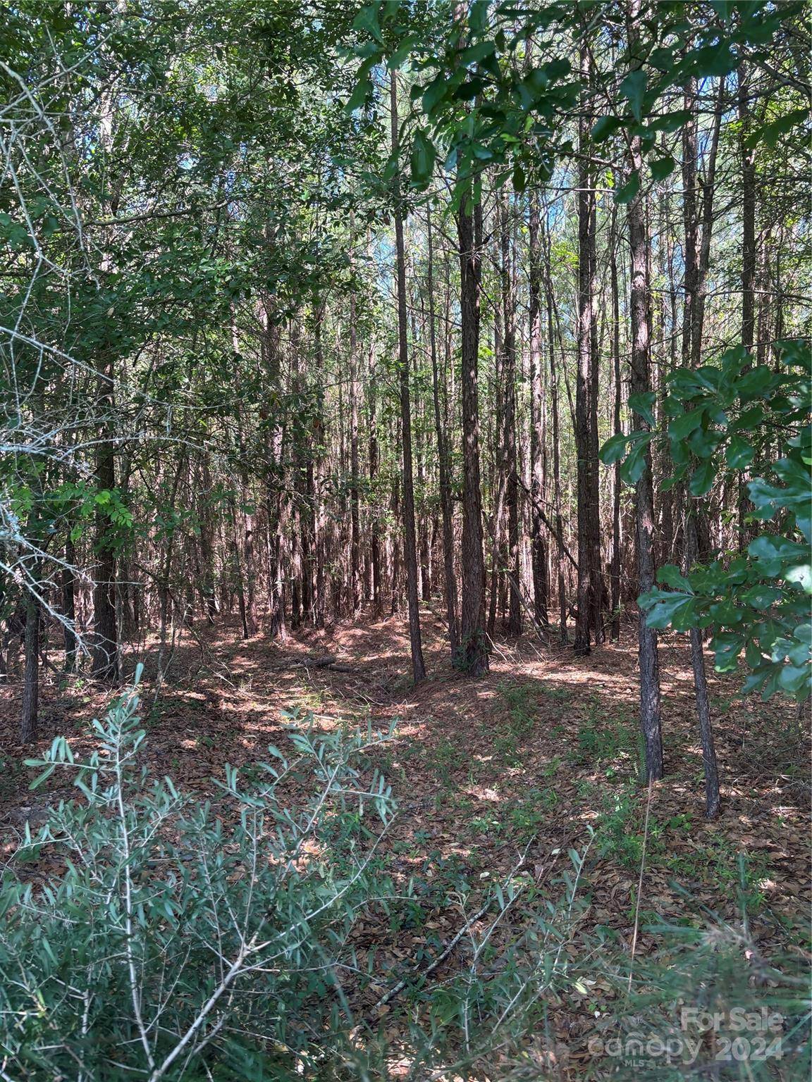 000 Columbus RD #8, Rembert, SC 29128