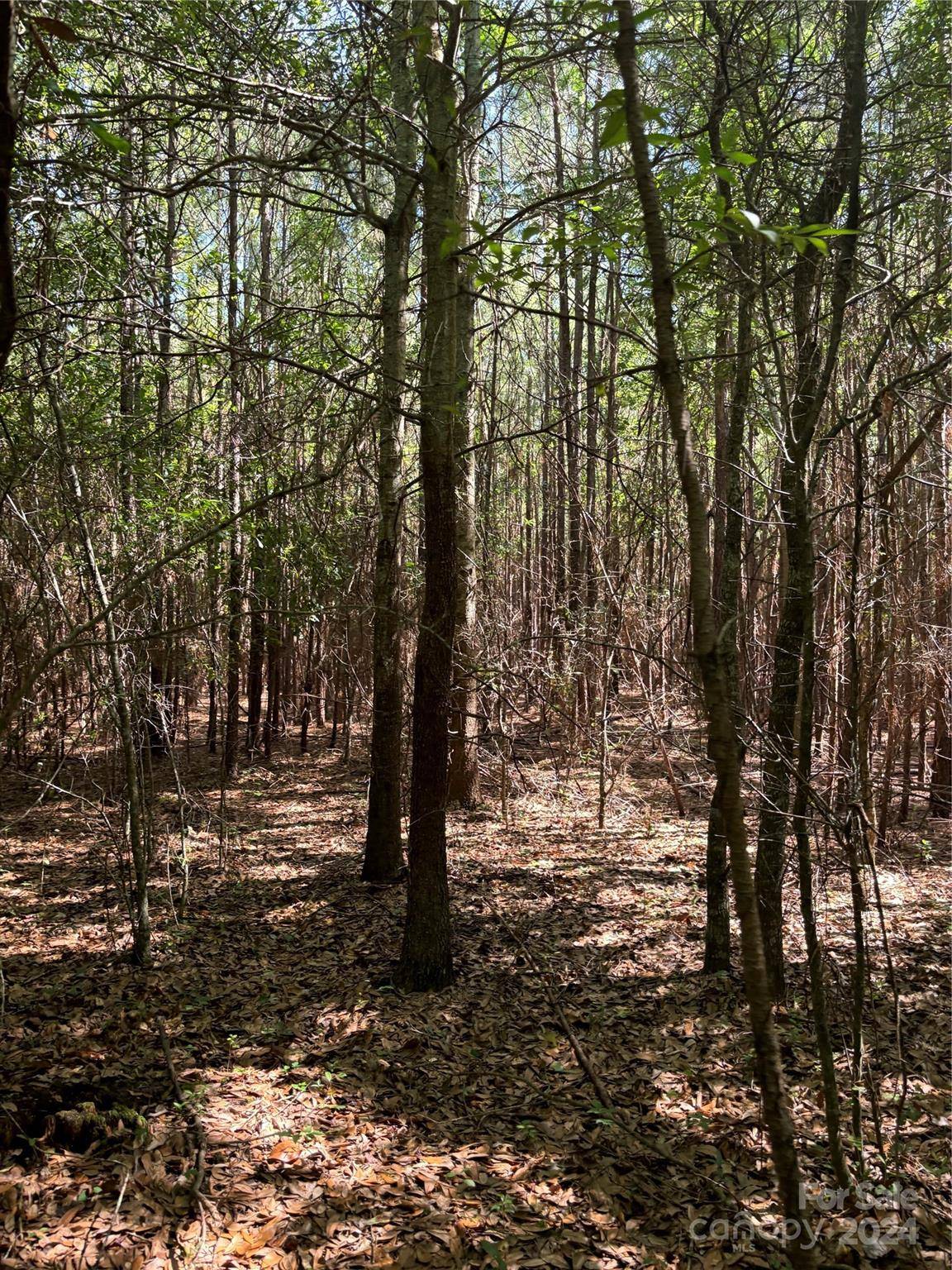 000 Columbus RD #8, Rembert, SC 29128