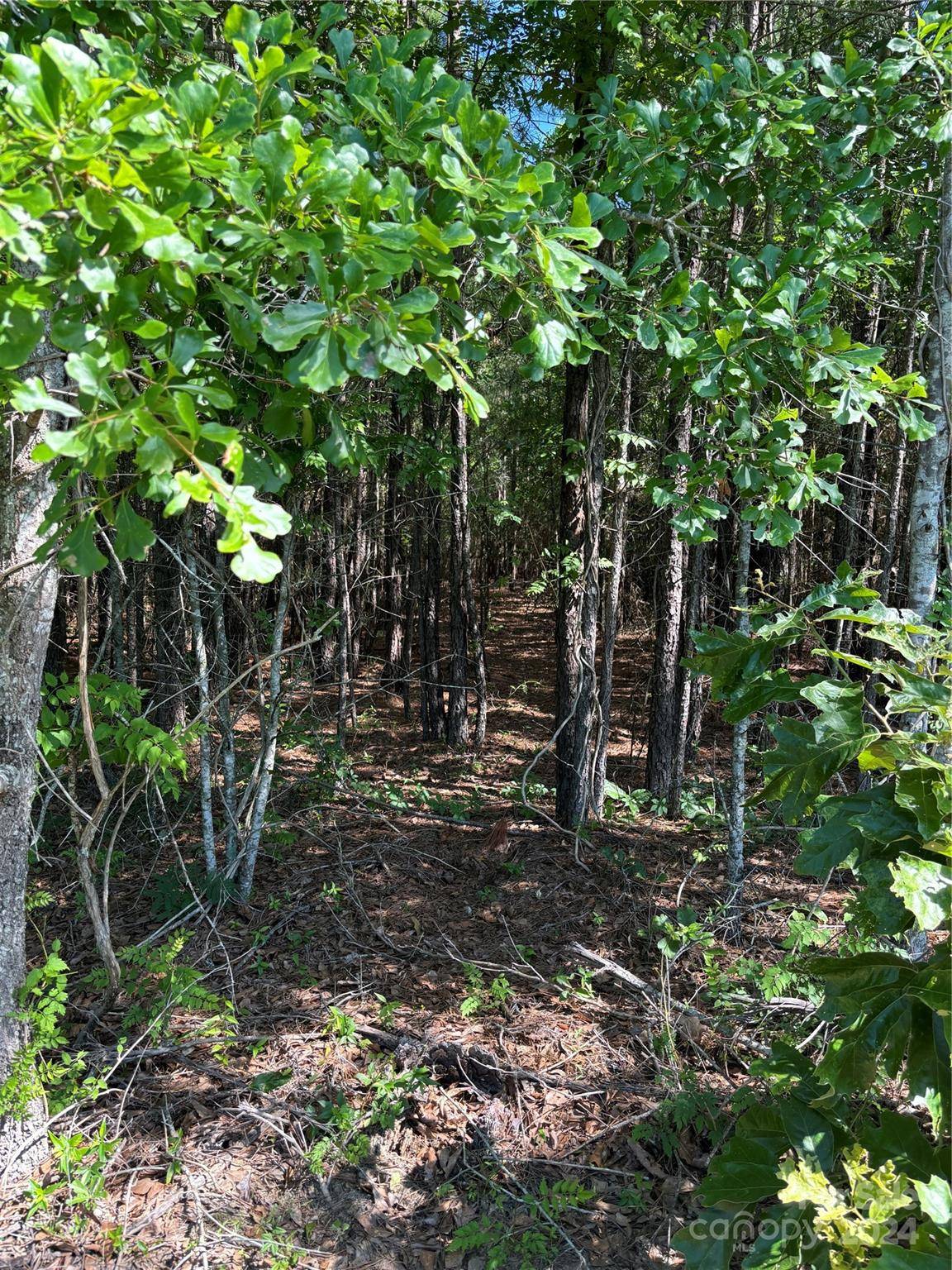 000 Columbus RD #8, Rembert, SC 29128