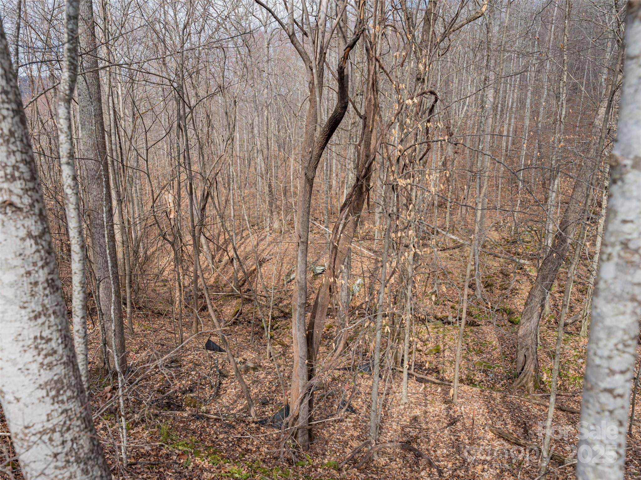 522 & 528 Blue Mist WAY, Arden, NC 28704
