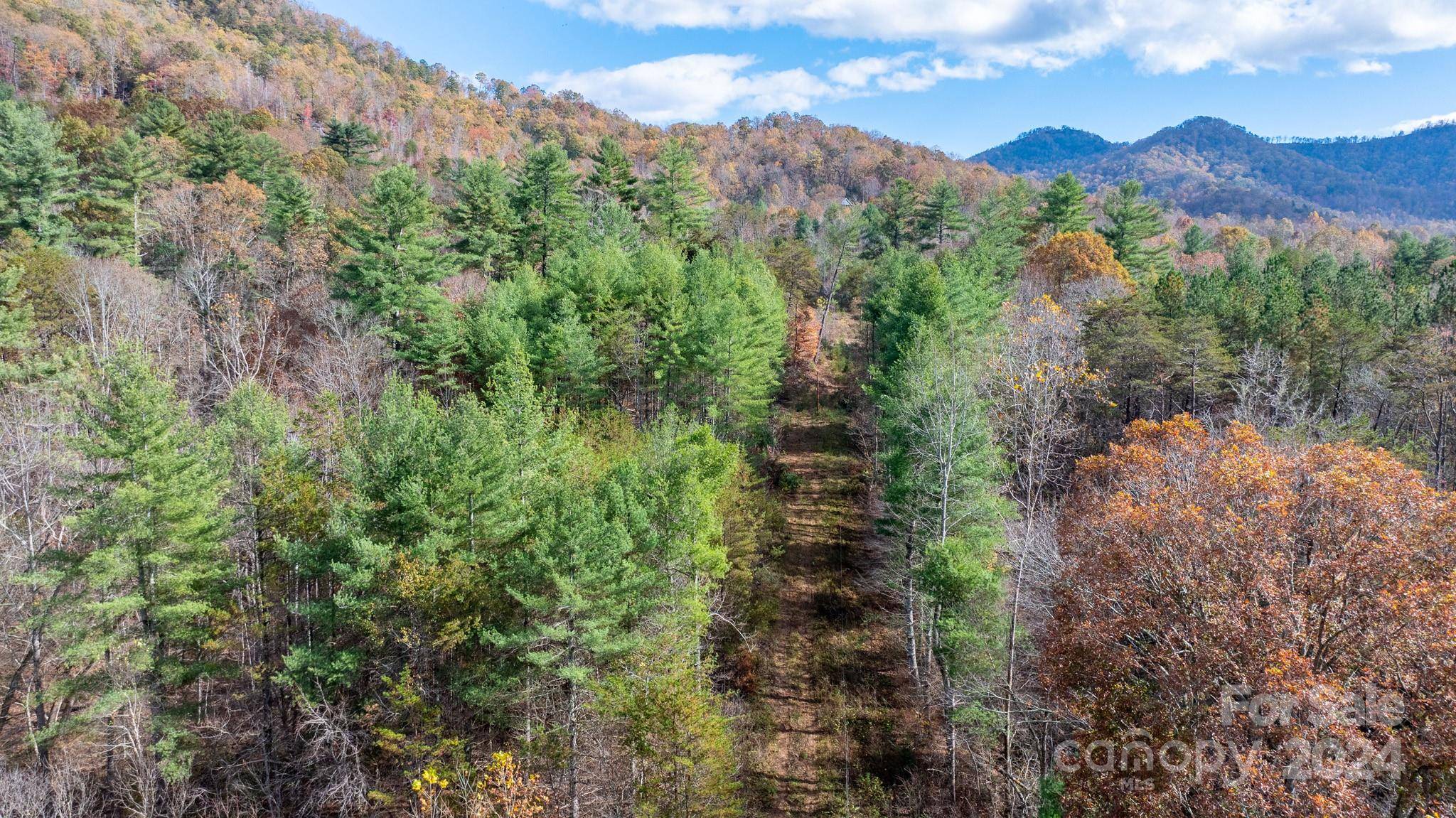 TBD Wilkerson WAY, Marion, NC 28752