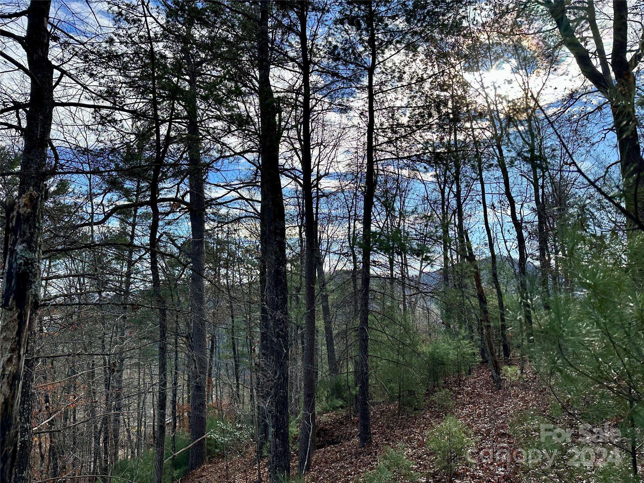 625 White Water WAY #25, Marshall, NC 28753