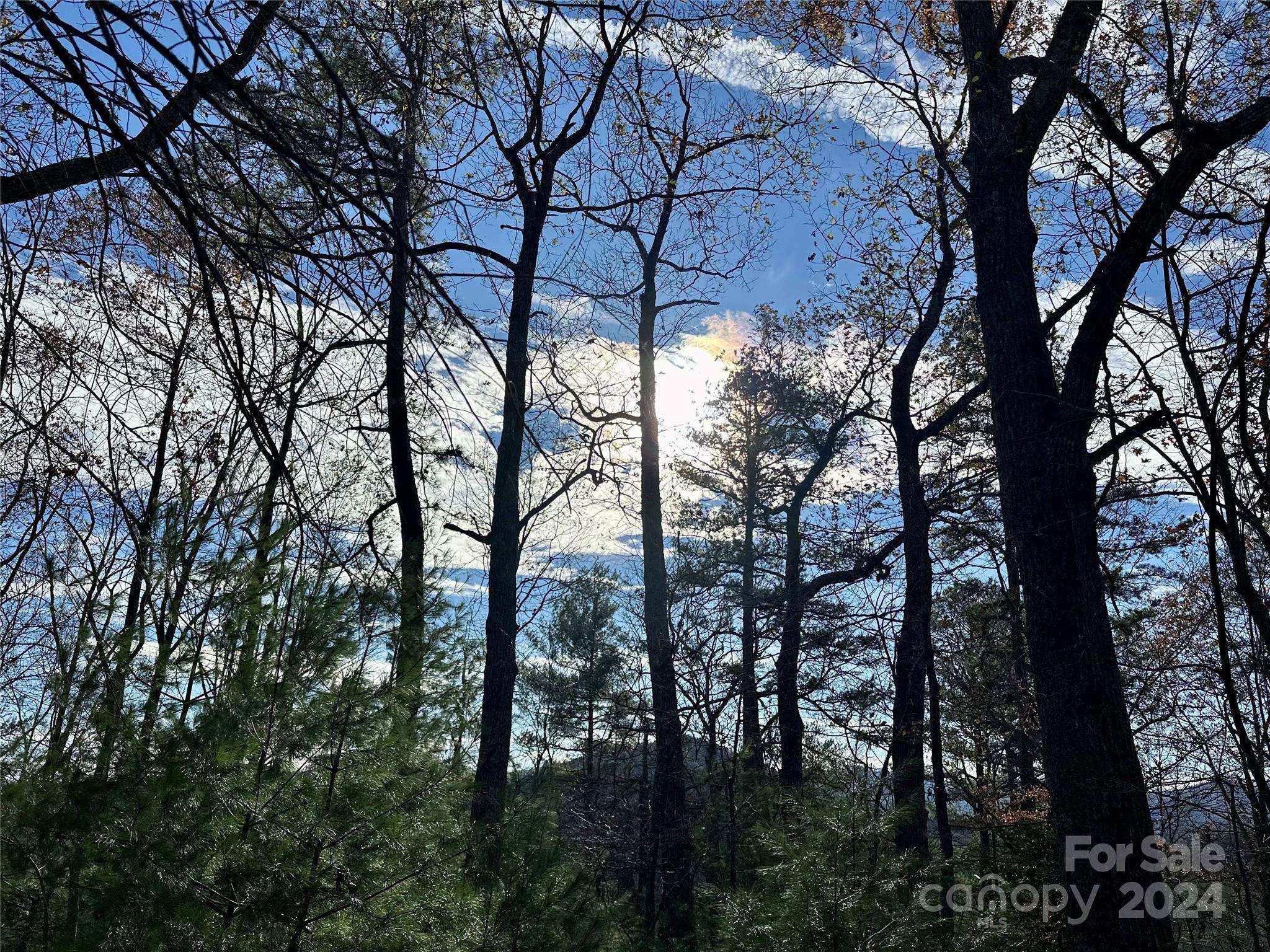 625 White Water WAY #25, Marshall, NC 28753