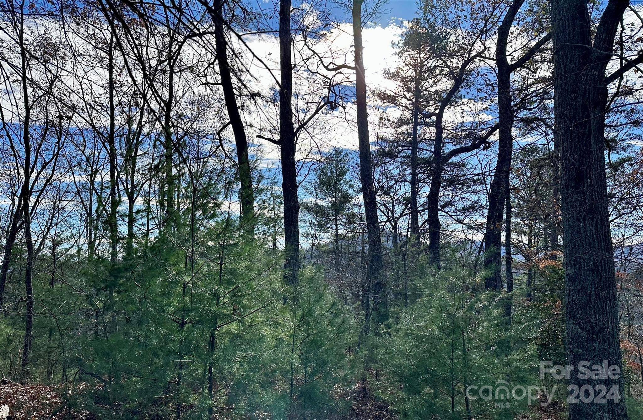 625 White Water WAY #25, Marshall, NC 28753