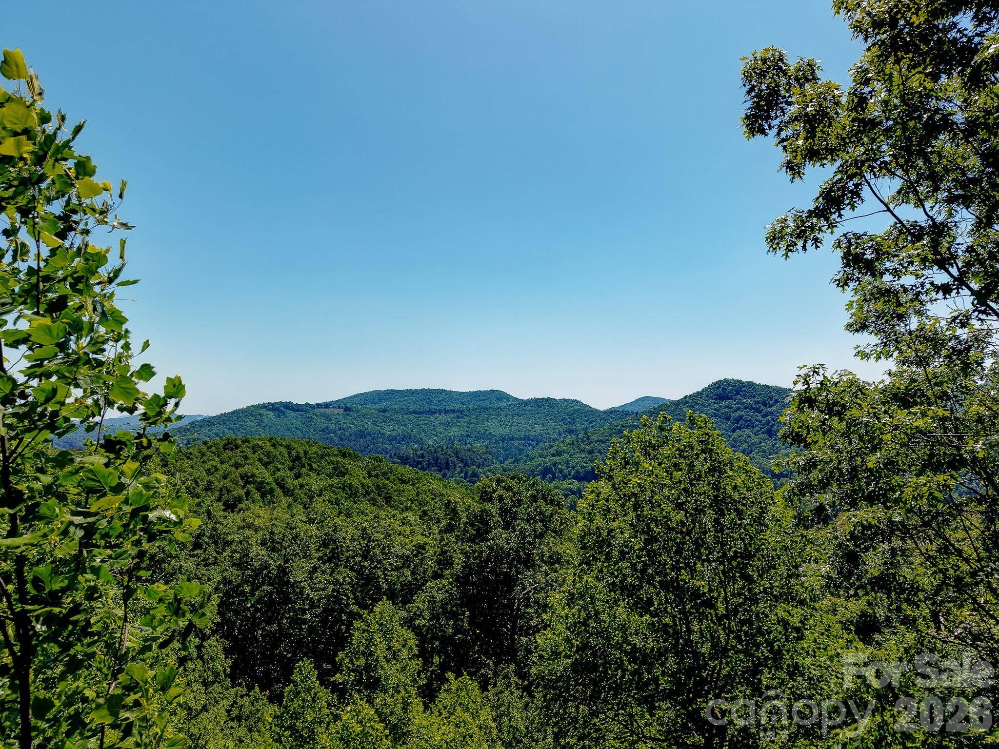 99999 Black Bear Ridge TRL, Zirconia, NC 28790