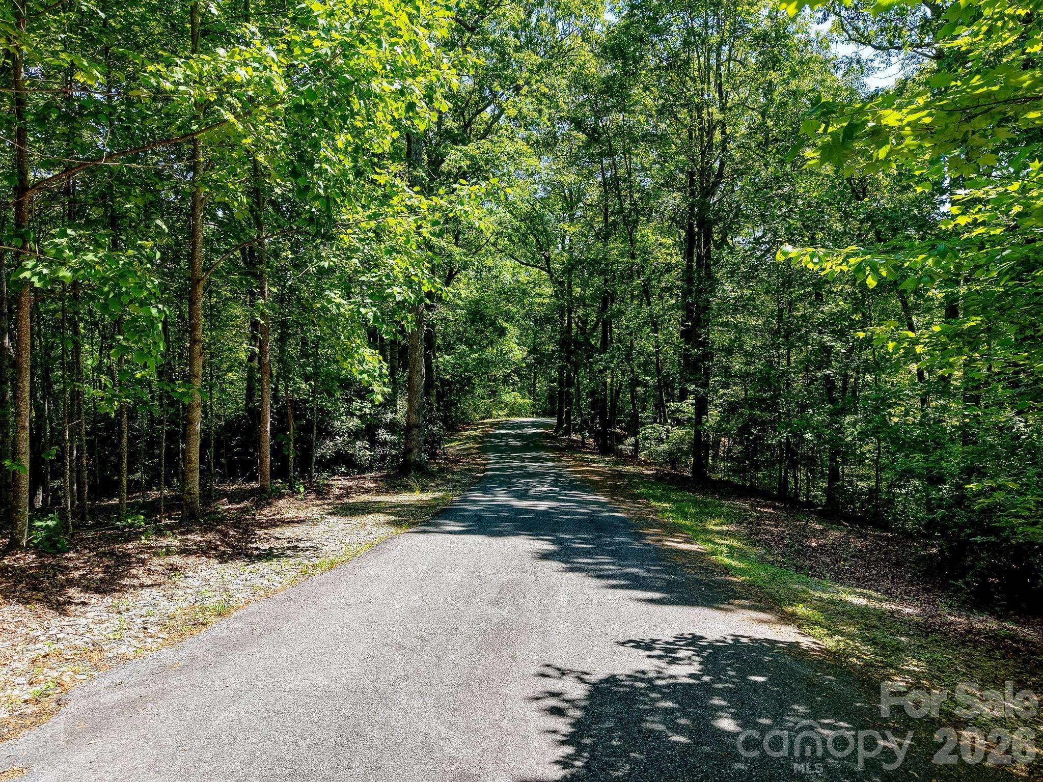 99999 Black Bear Ridge TRL, Zirconia, NC 28790