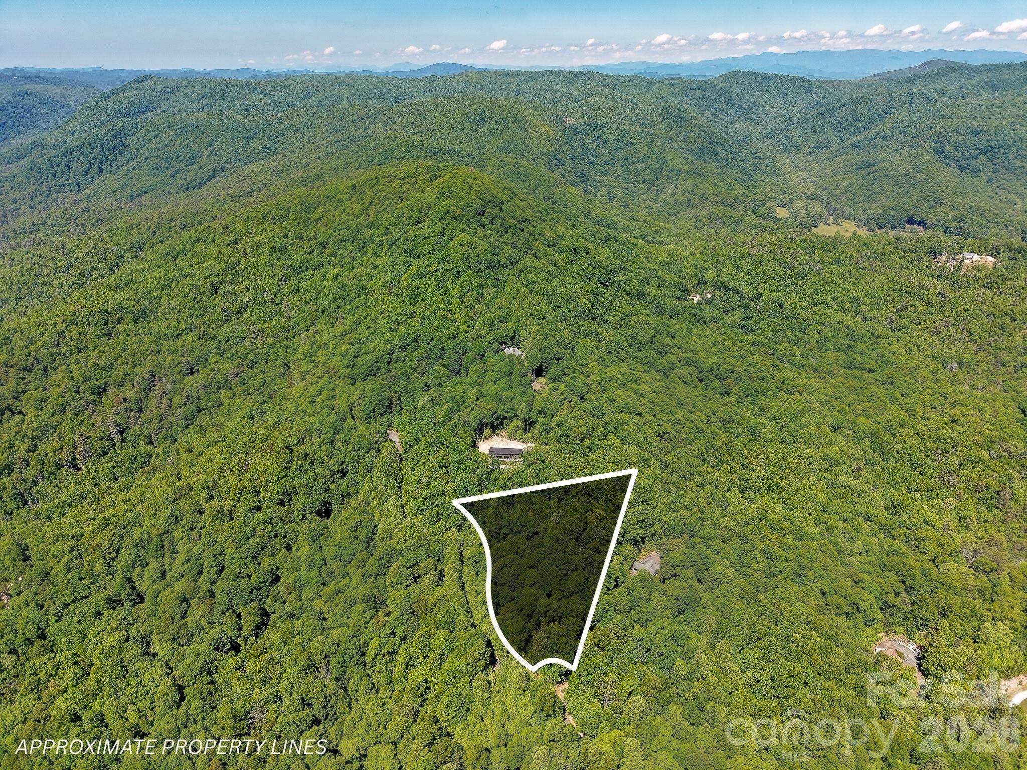 99999 Black Bear Ridge TRL, Zirconia, NC 28790
