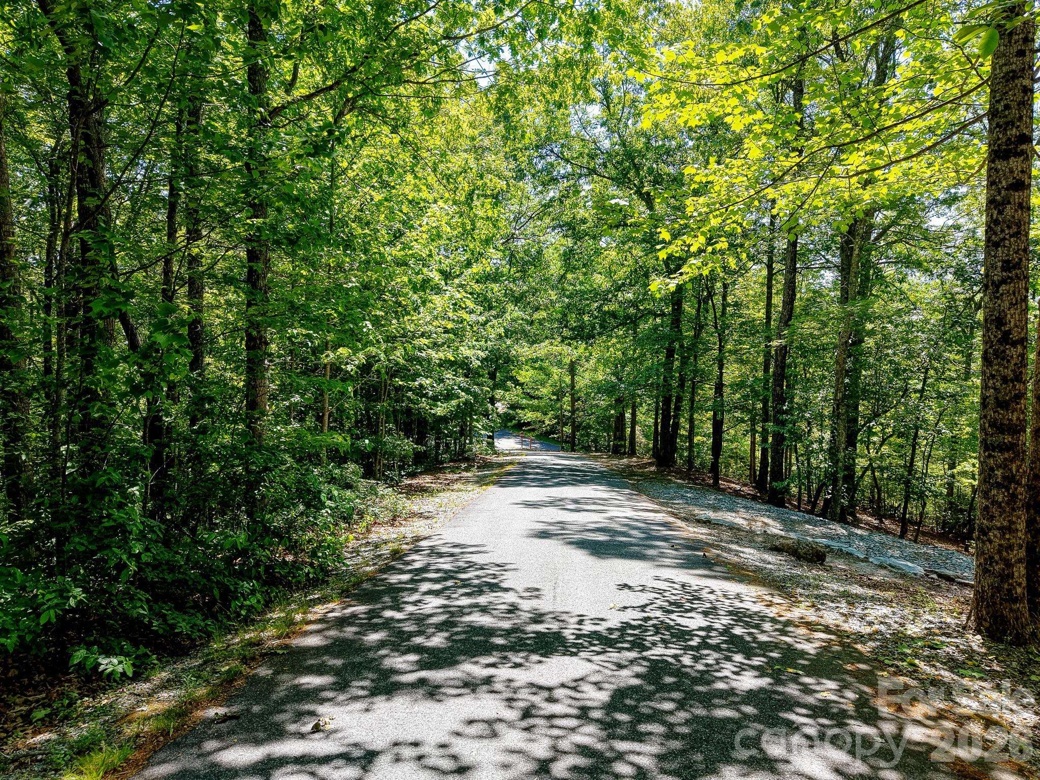 99999 Black Bear Ridge TRL, Zirconia, NC 28790